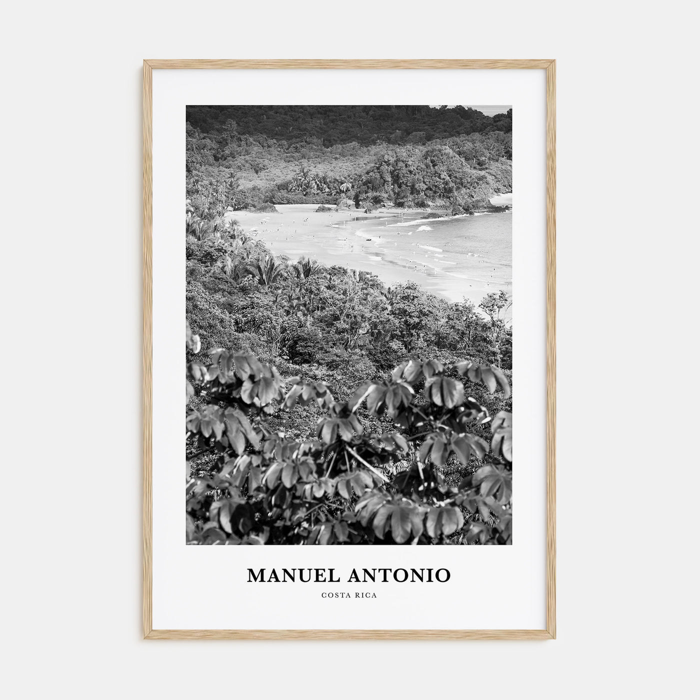 Manuel Antonio National Park Portrait B&W Poster