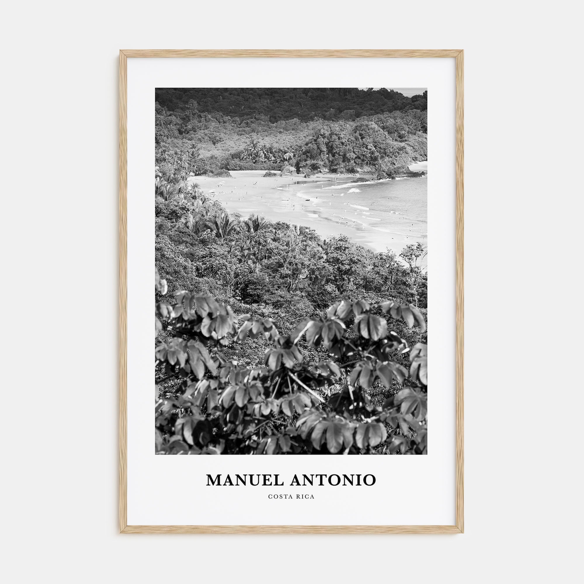 Manuel Antonio National Park Portrait B&W Poster