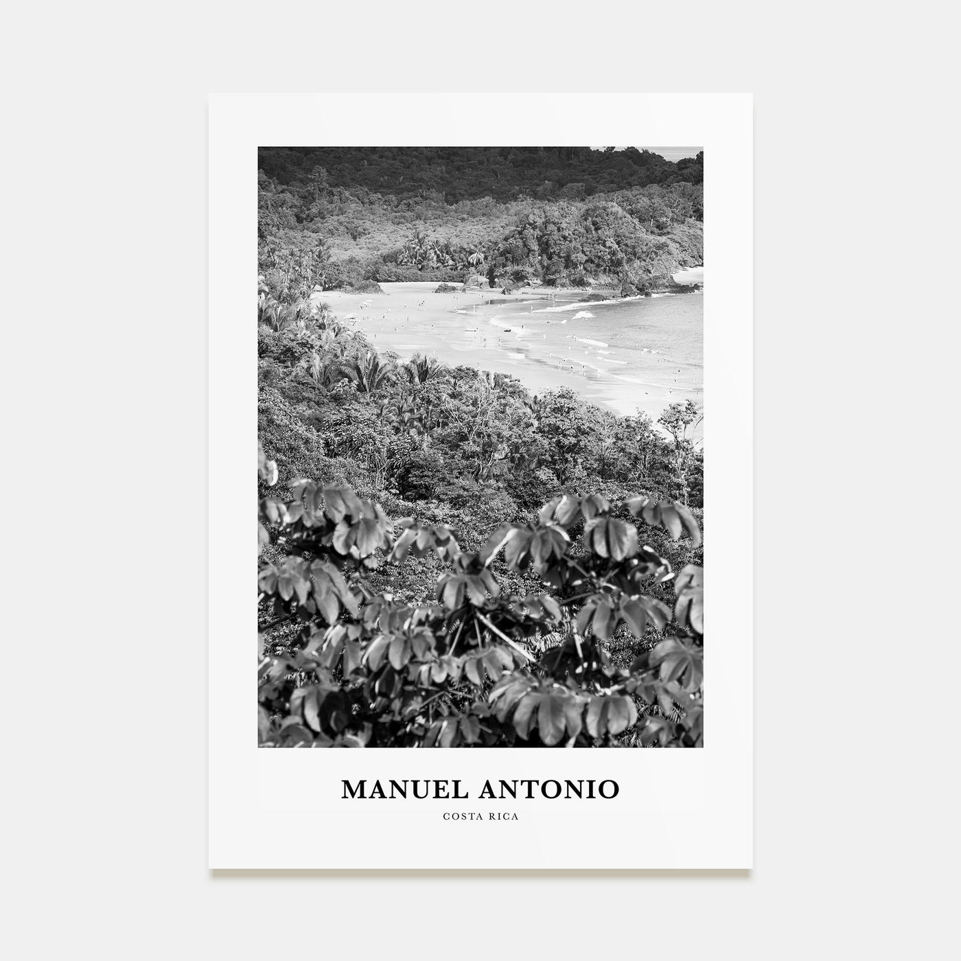 Manuel Antonio National Park Portrait B&W Poster