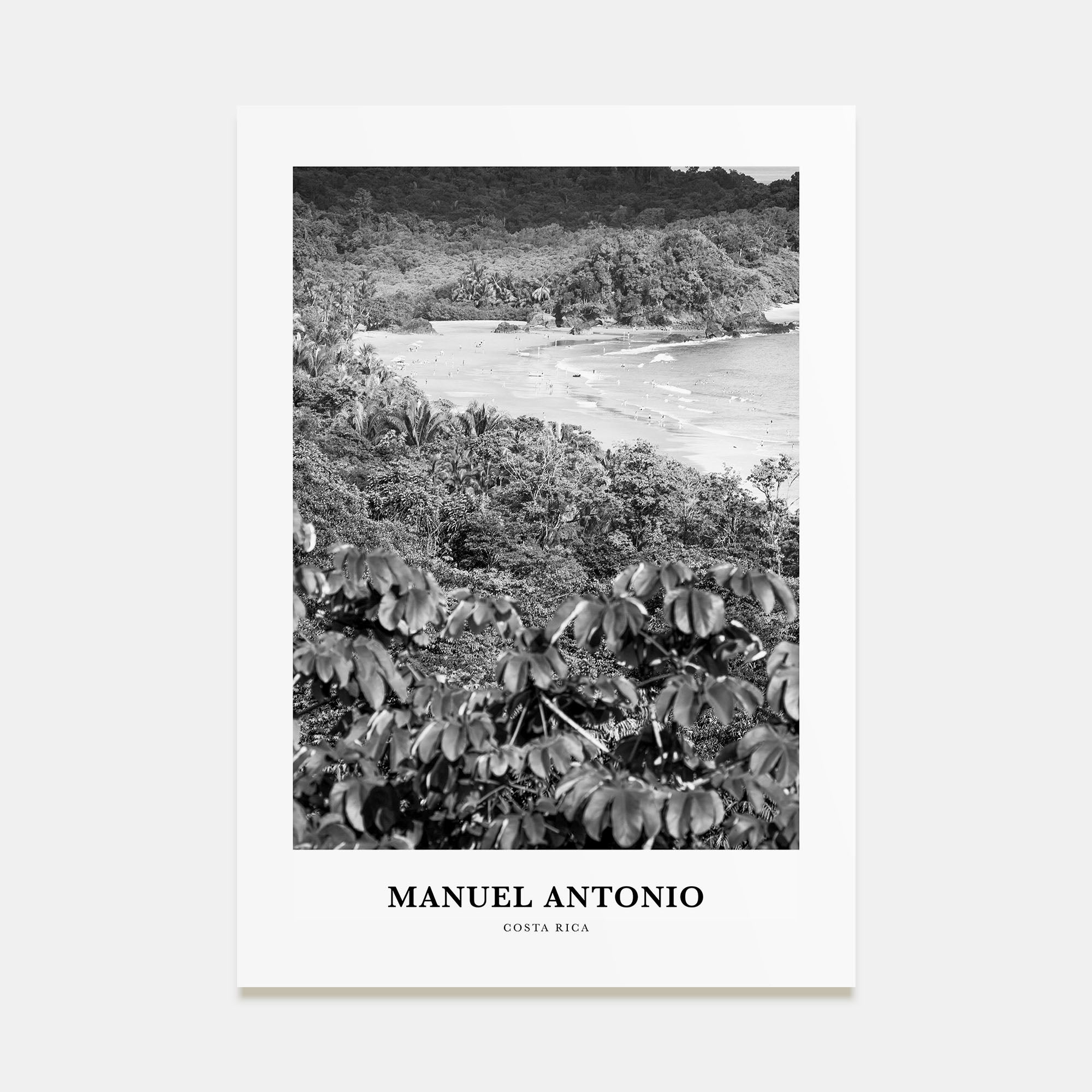 Manuel Antonio National Park Portrait B&W Poster