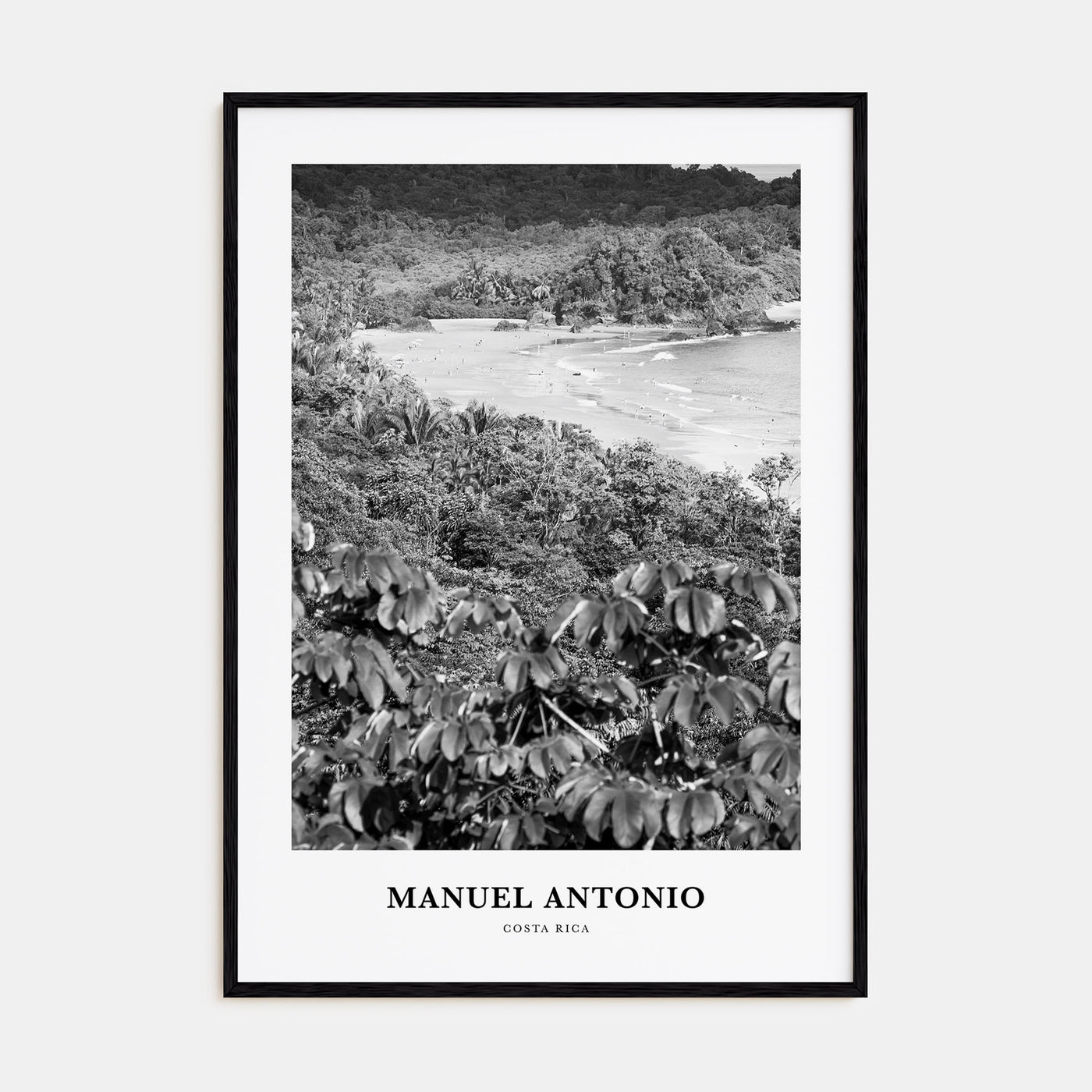 Manuel Antonio National Park Portrait B&W Poster