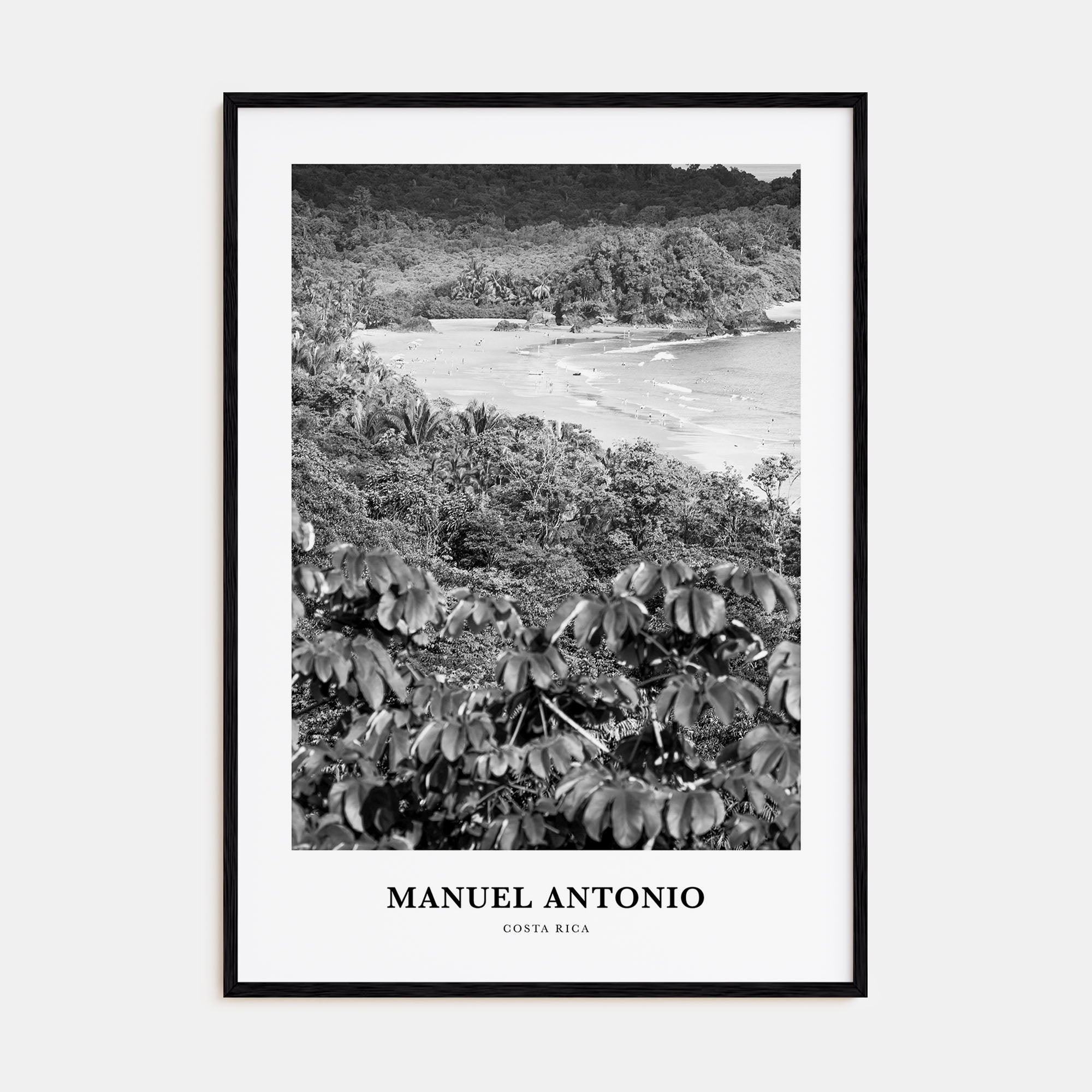 Manuel Antonio National Park Portrait B&W Poster