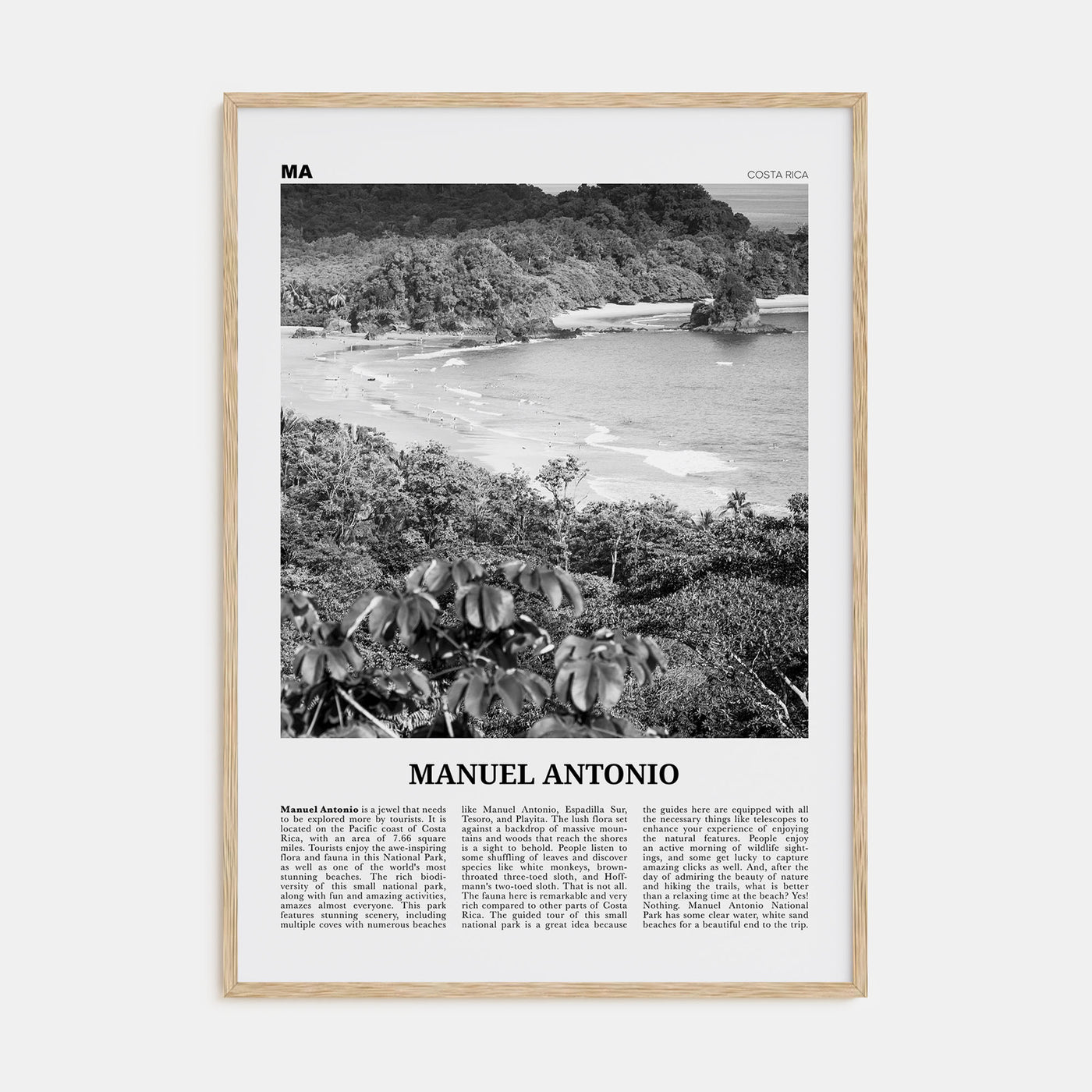 Manuel Antonio National Park Travel B&W Poster