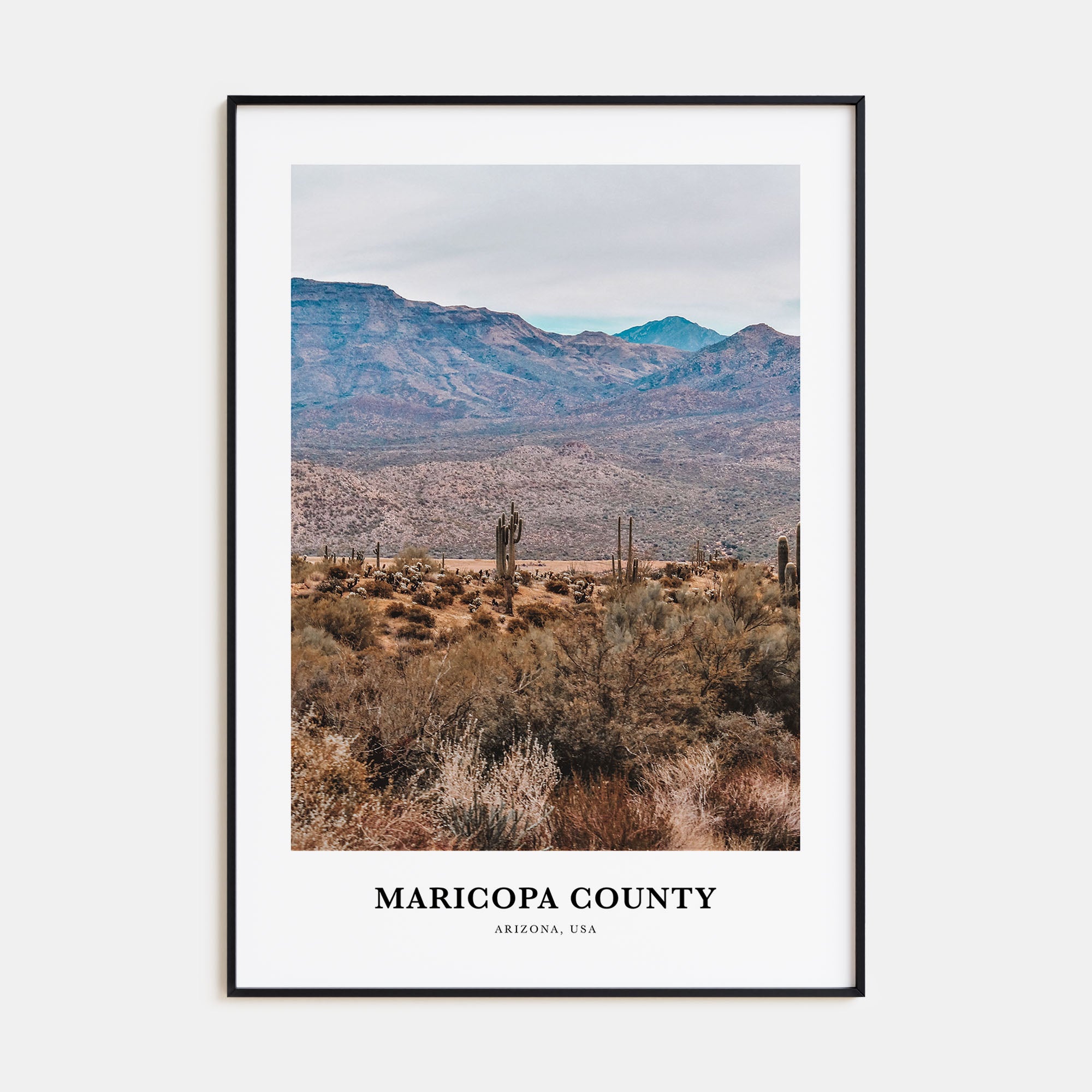 Maricopa County Portrait Color Poster