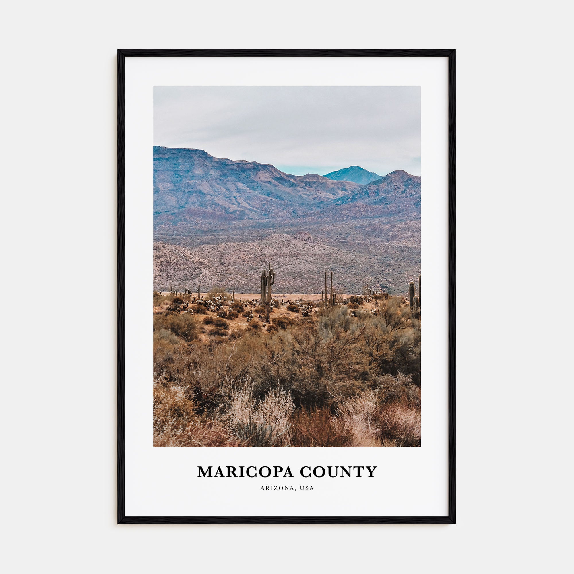 Maricopa County Portrait Color Poster