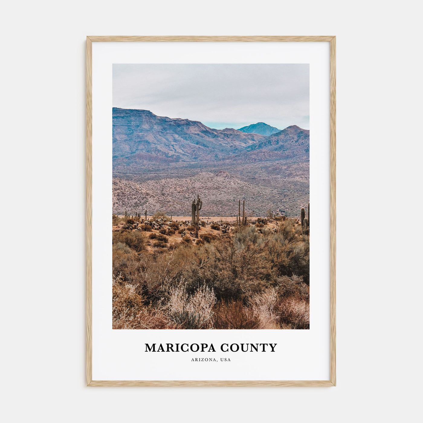 Maricopa County Portrait Color Poster