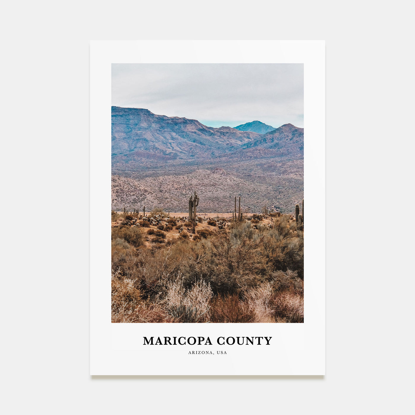 Maricopa County Portrait Color Poster