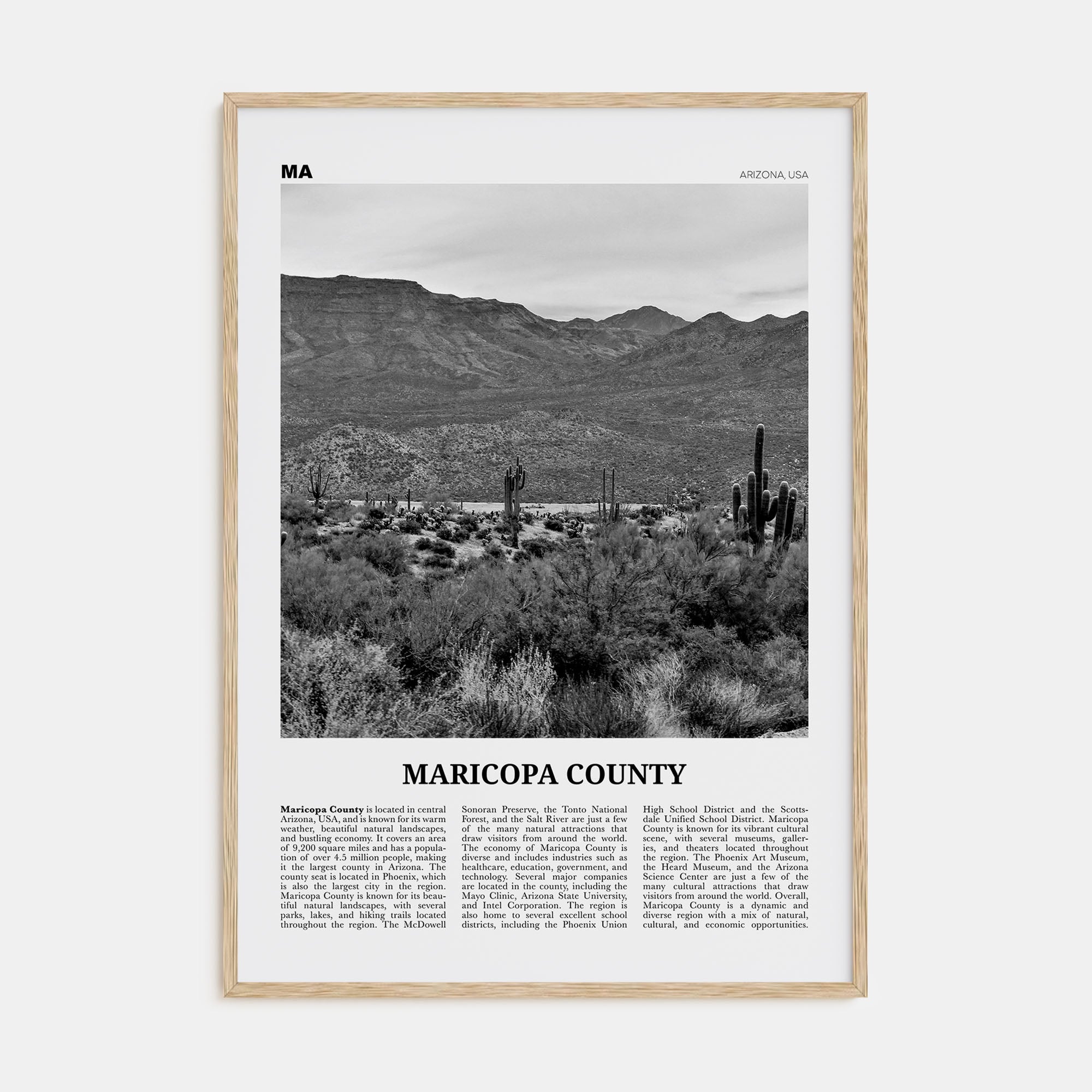 Maricopa County Travel B&W Poster