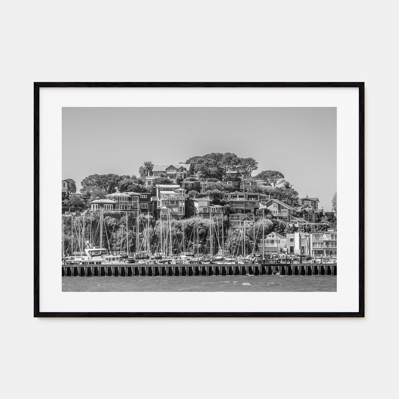 Marin County Landscape B&W Poster