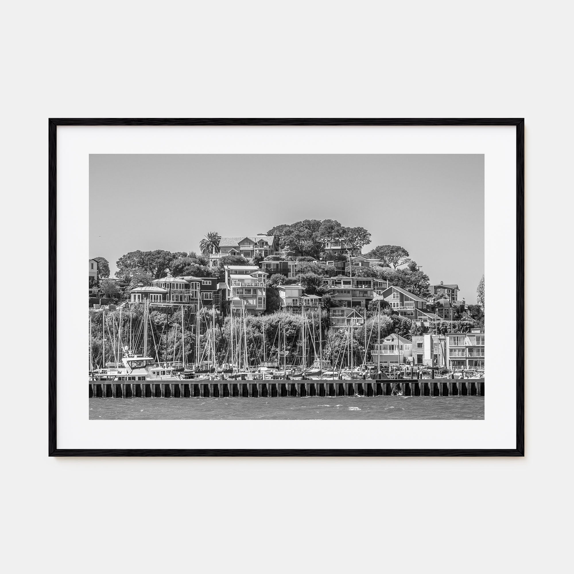 Marin County Landscape B&W Poster