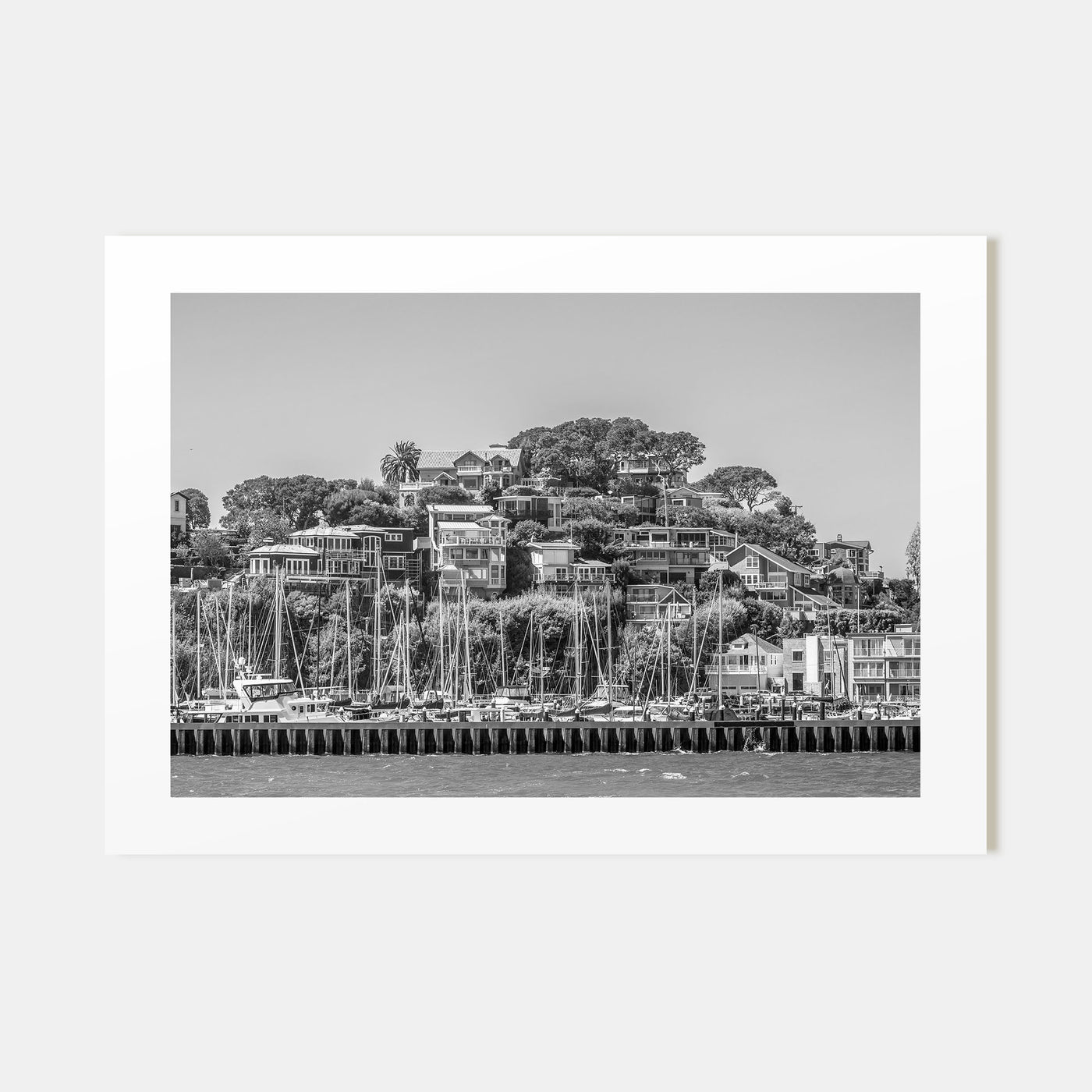 Marin County Landscape B&W Poster