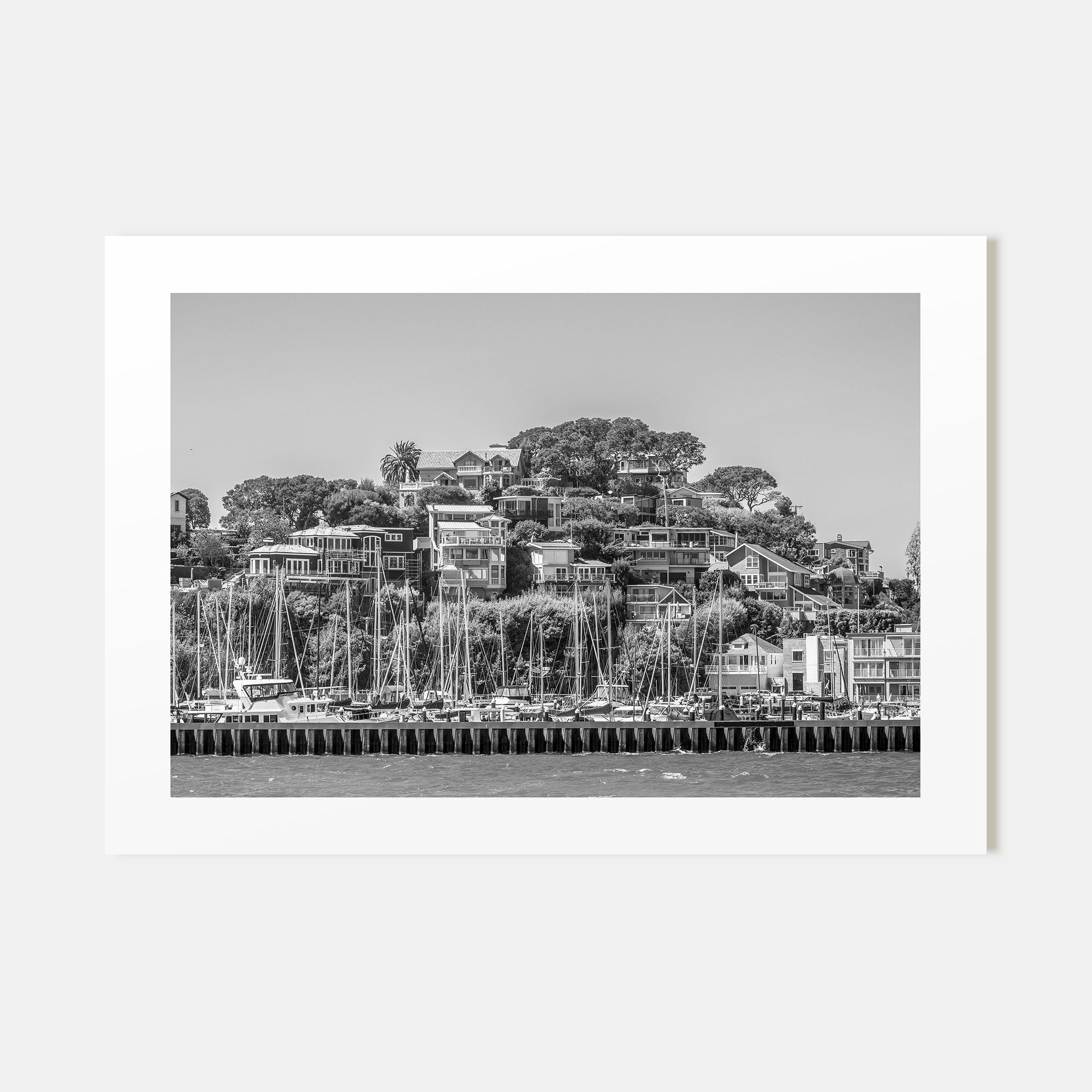 Marin County Landscape B&W Poster