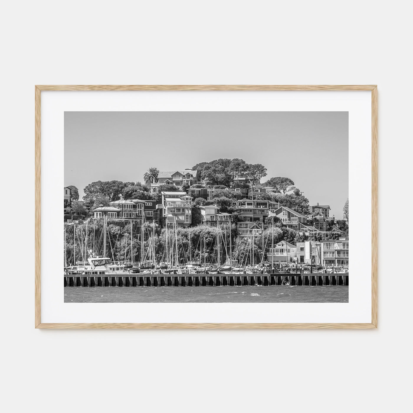 Marin County Landscape B&W Poster
