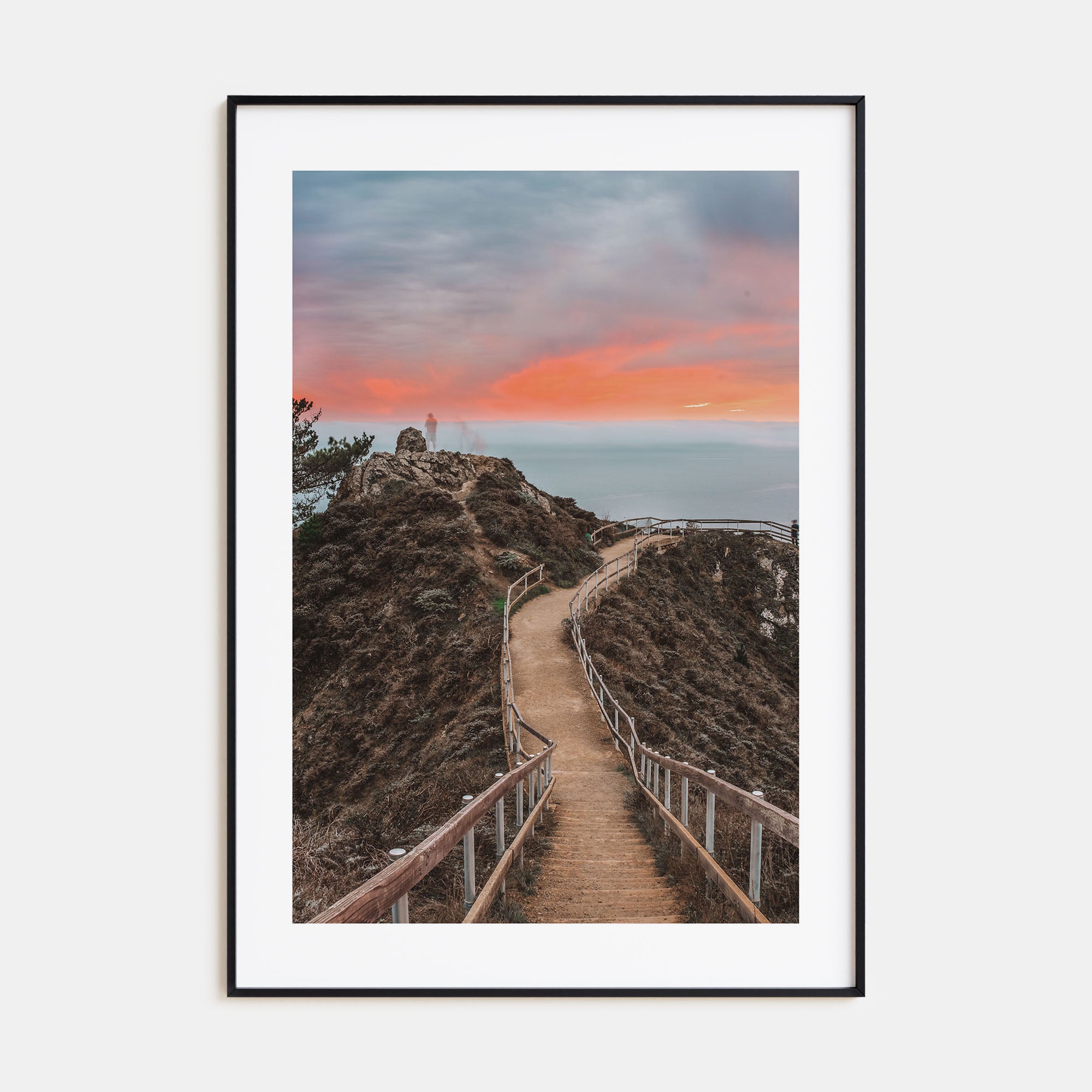 Marin County Photo Color No 2 Poster