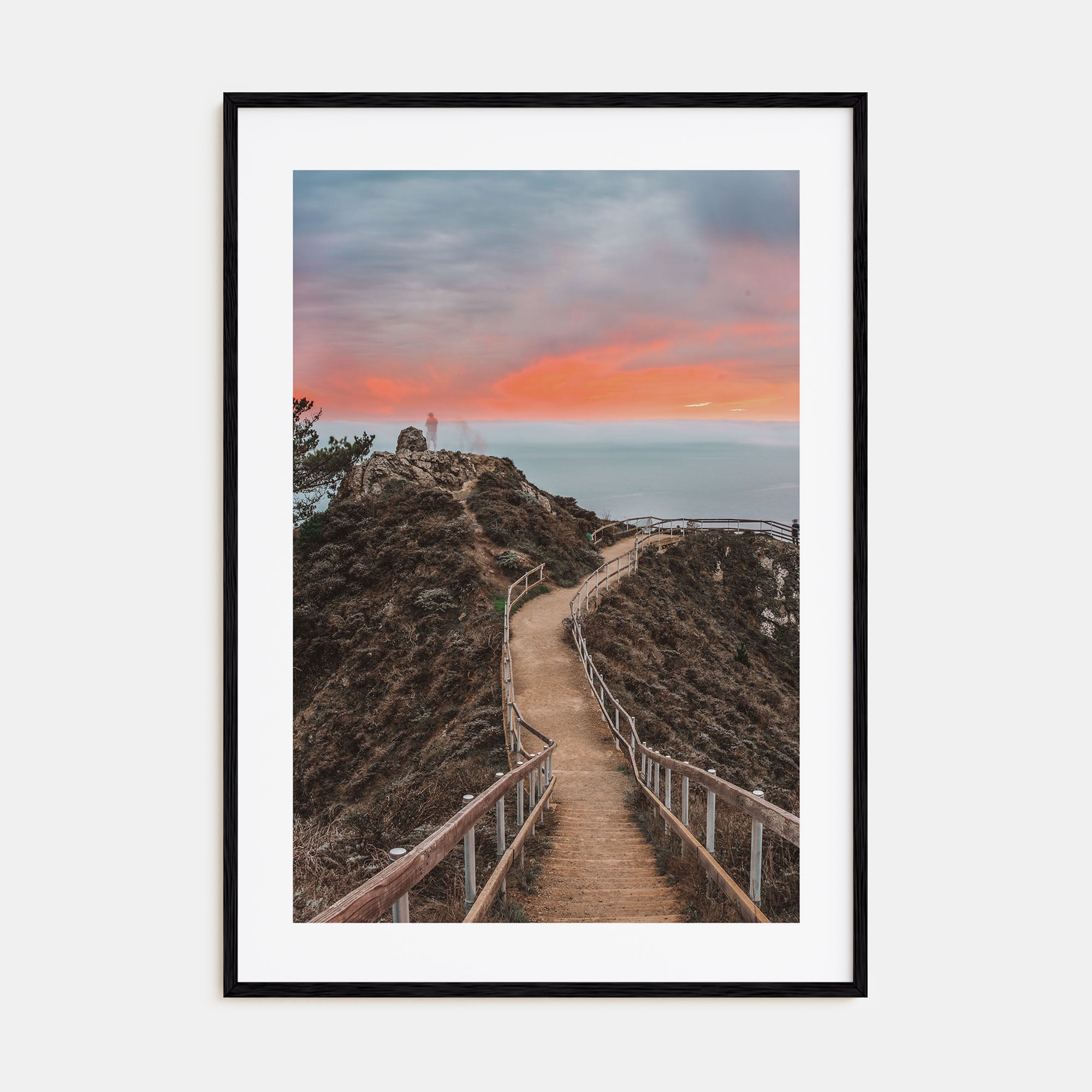 Marin County Photo Color No 2 Poster