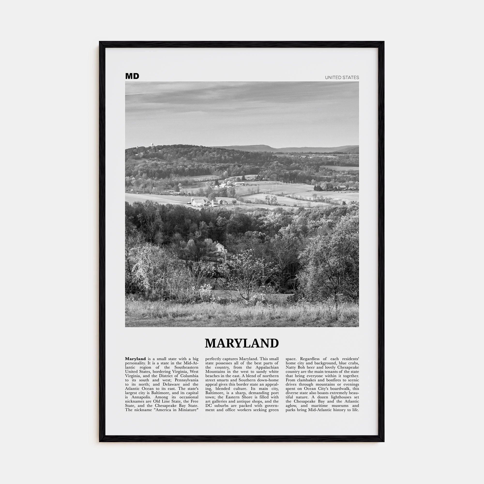 Maryland Travel B&W No 2 Poster