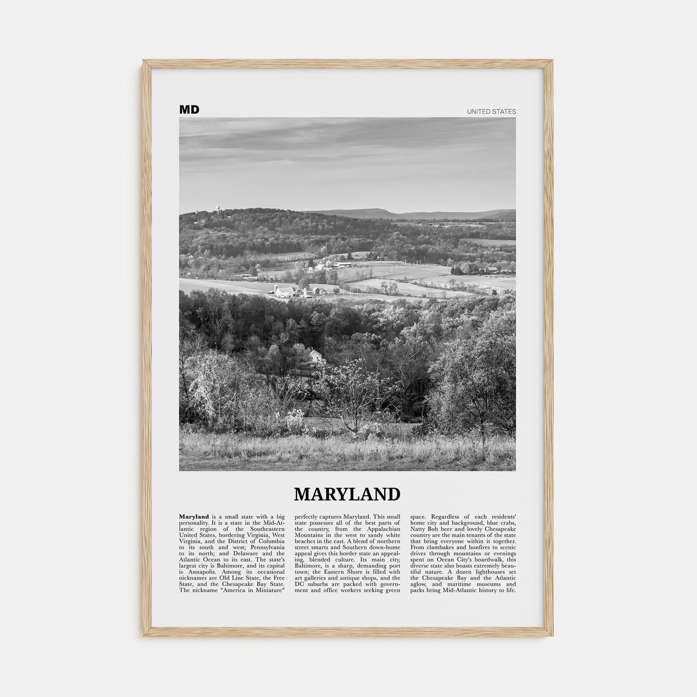 Maryland Travel B&W No 2 Poster