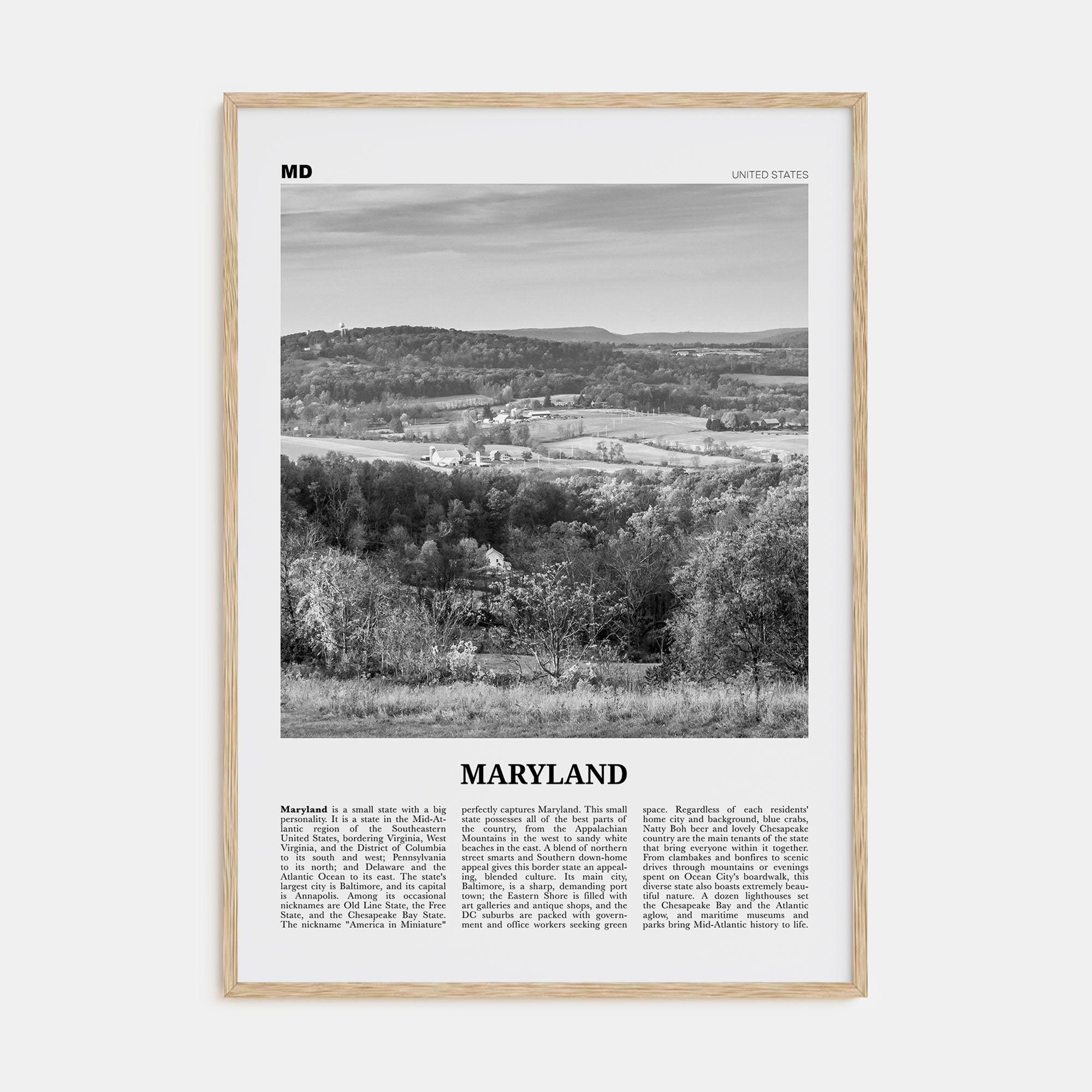 Maryland Travel B&W No 2 Poster