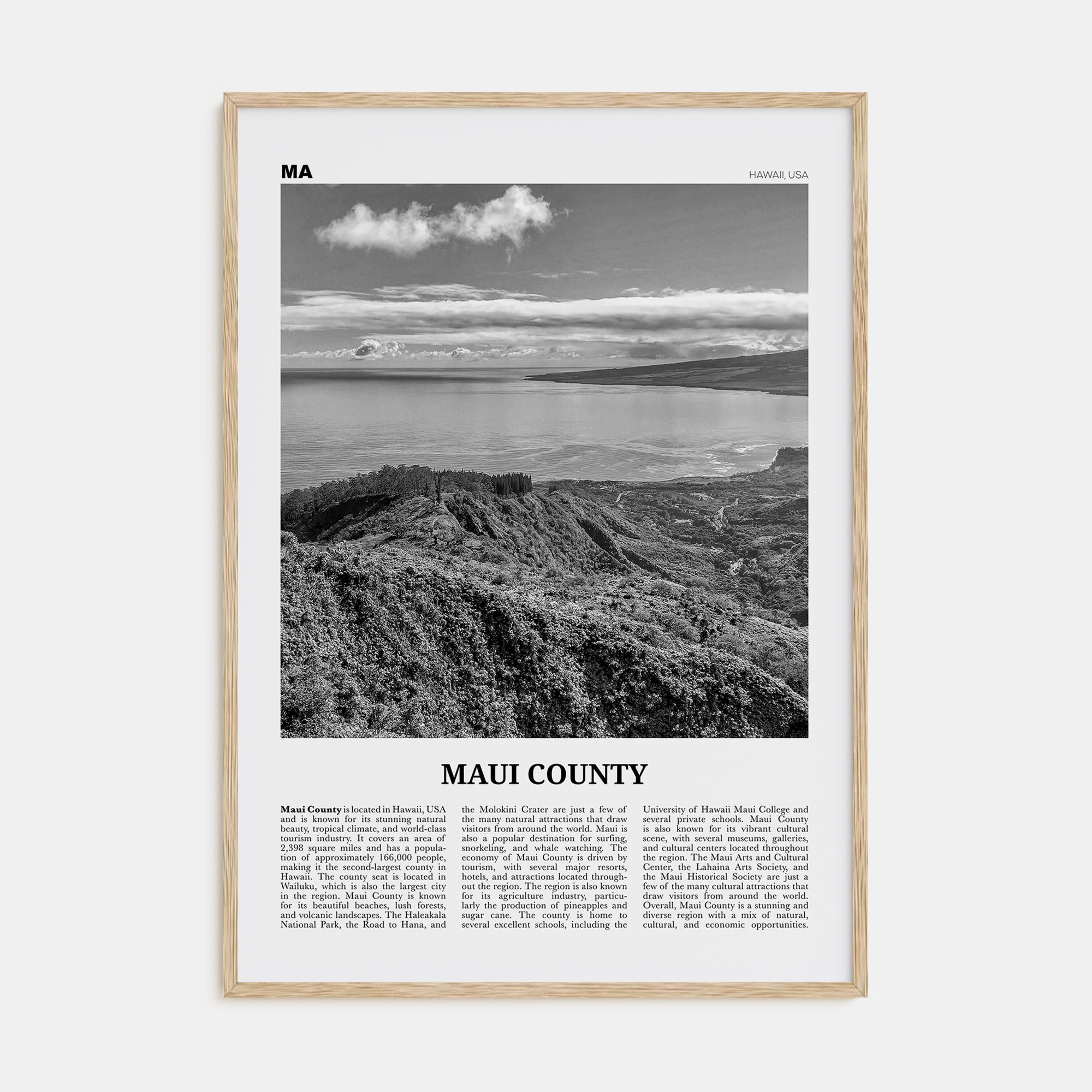 Maui County Travel B&W Poster