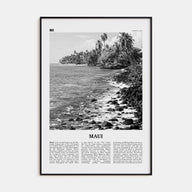 Maui Travel B&W No 3 Poster