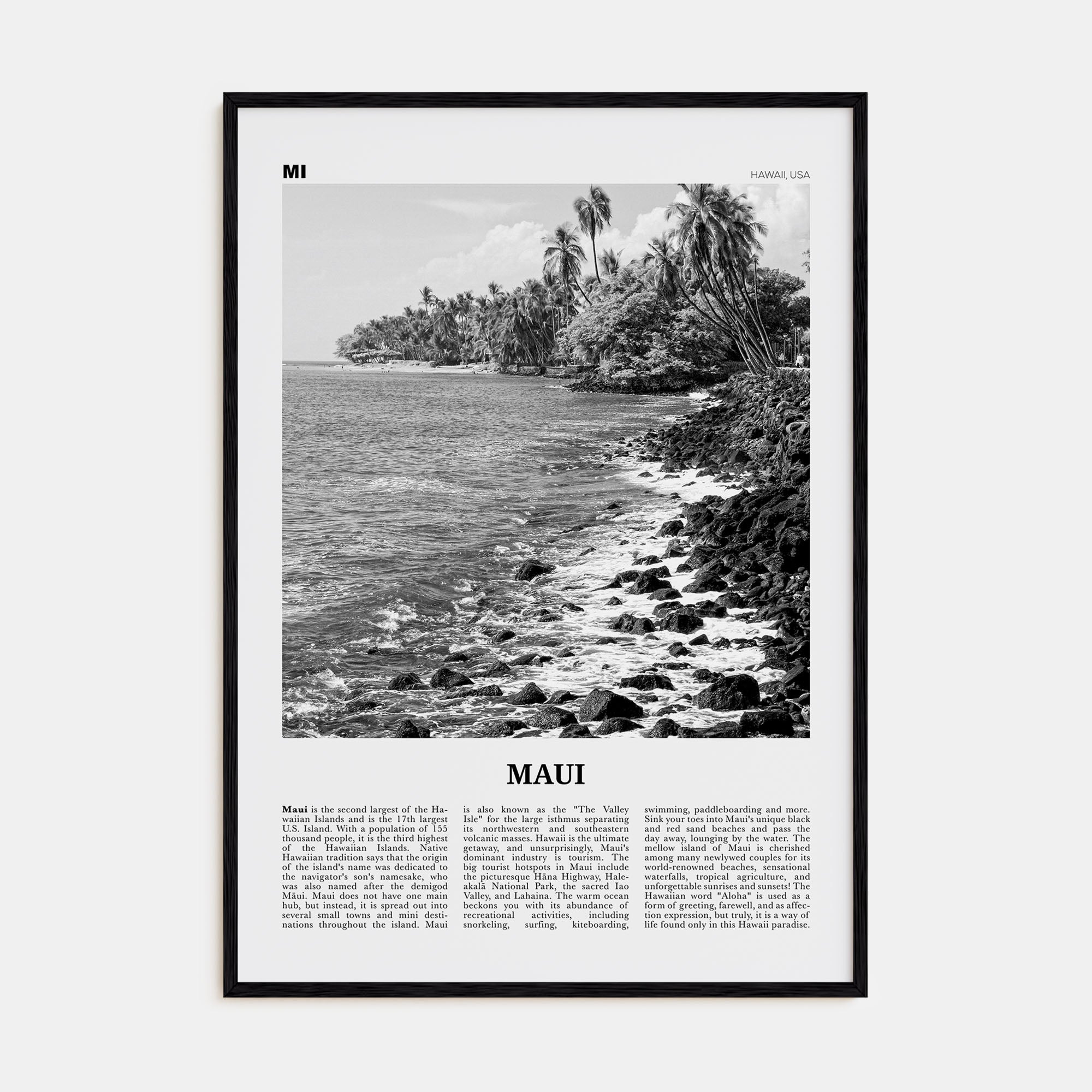 Maui Travel B&W No 3 Poster