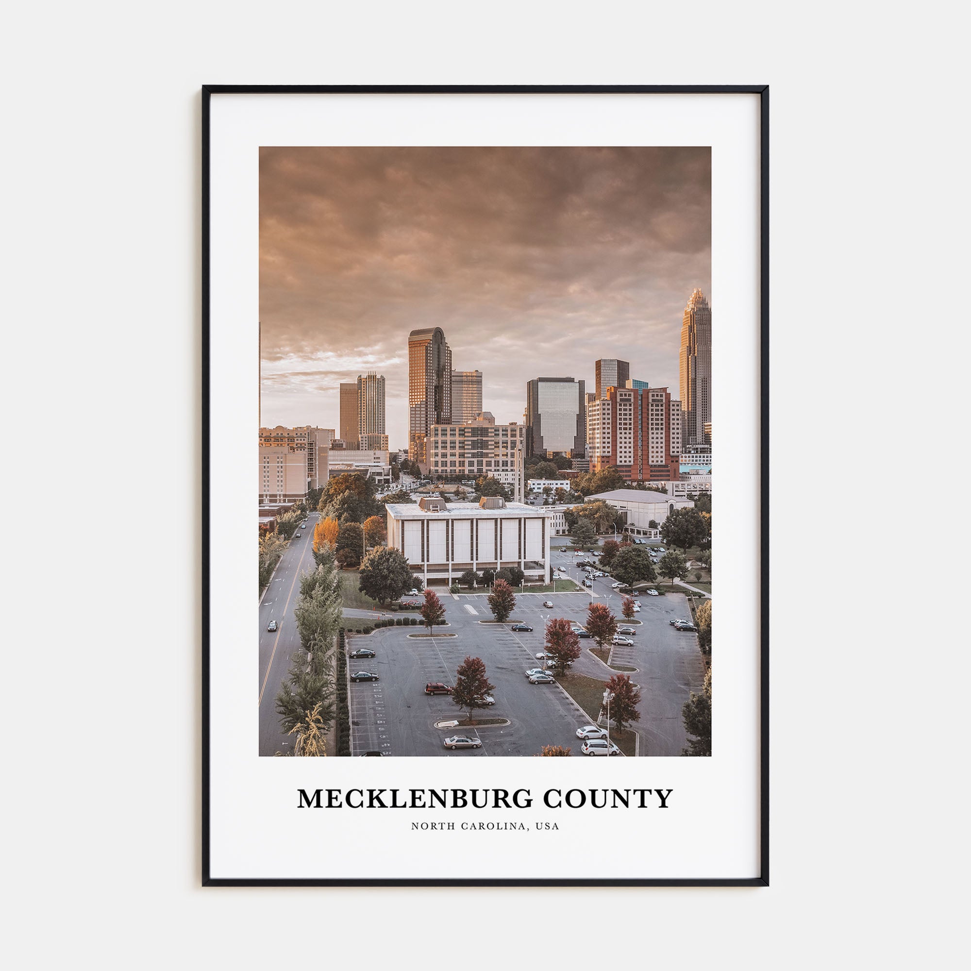 Mecklenburg County Portrait Color Poster