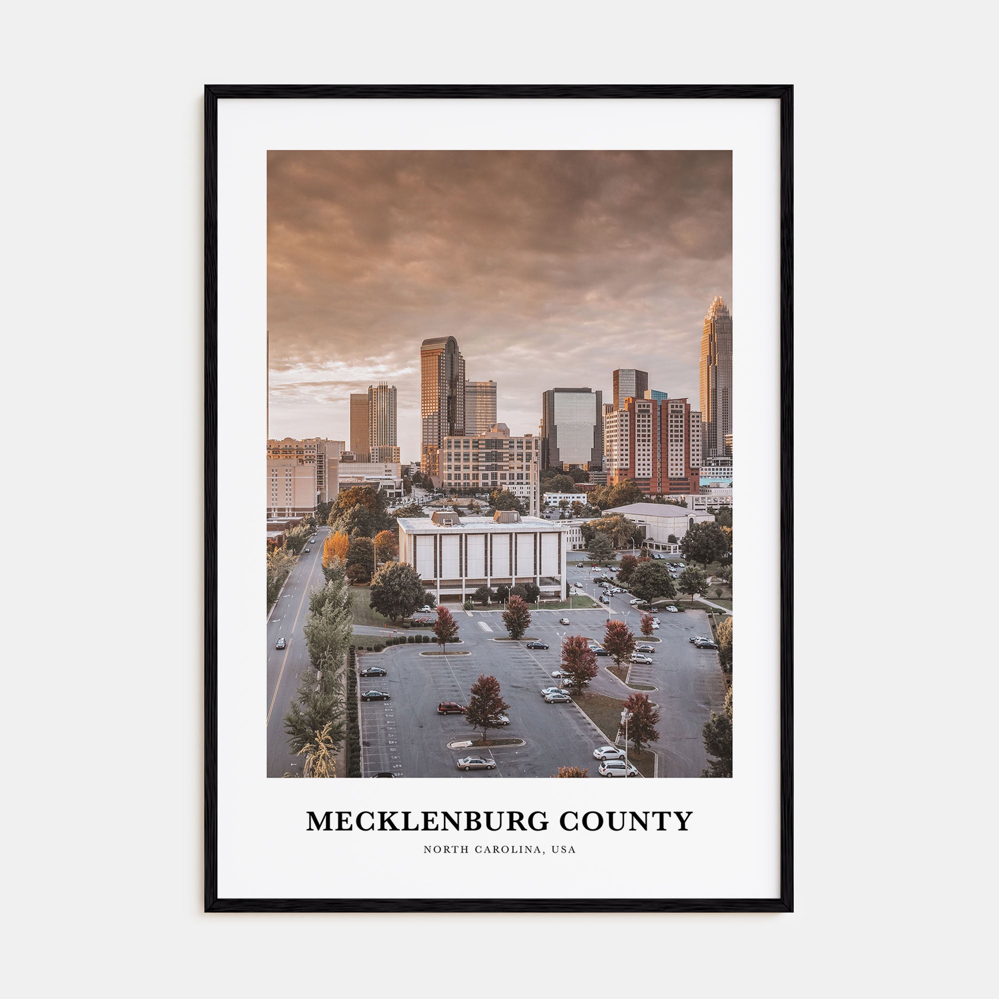 Mecklenburg County Portrait Color Poster