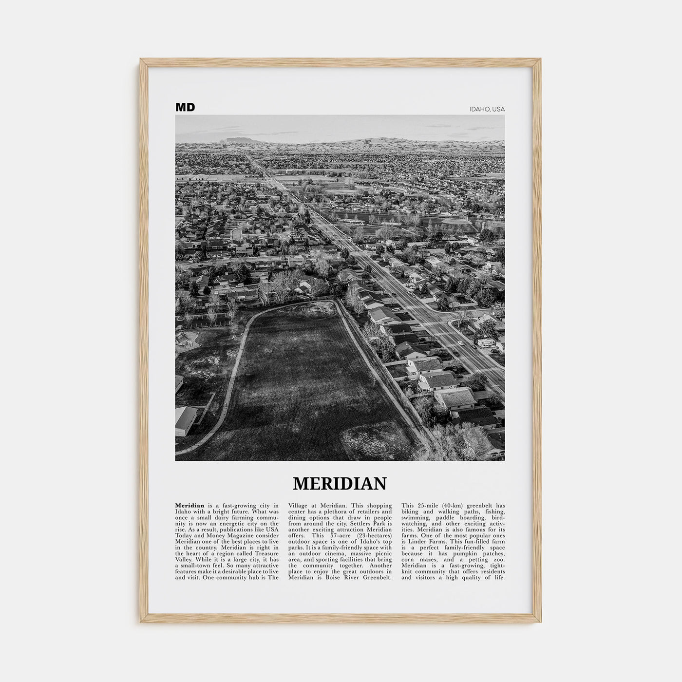 Meridian Travel B&W Poster