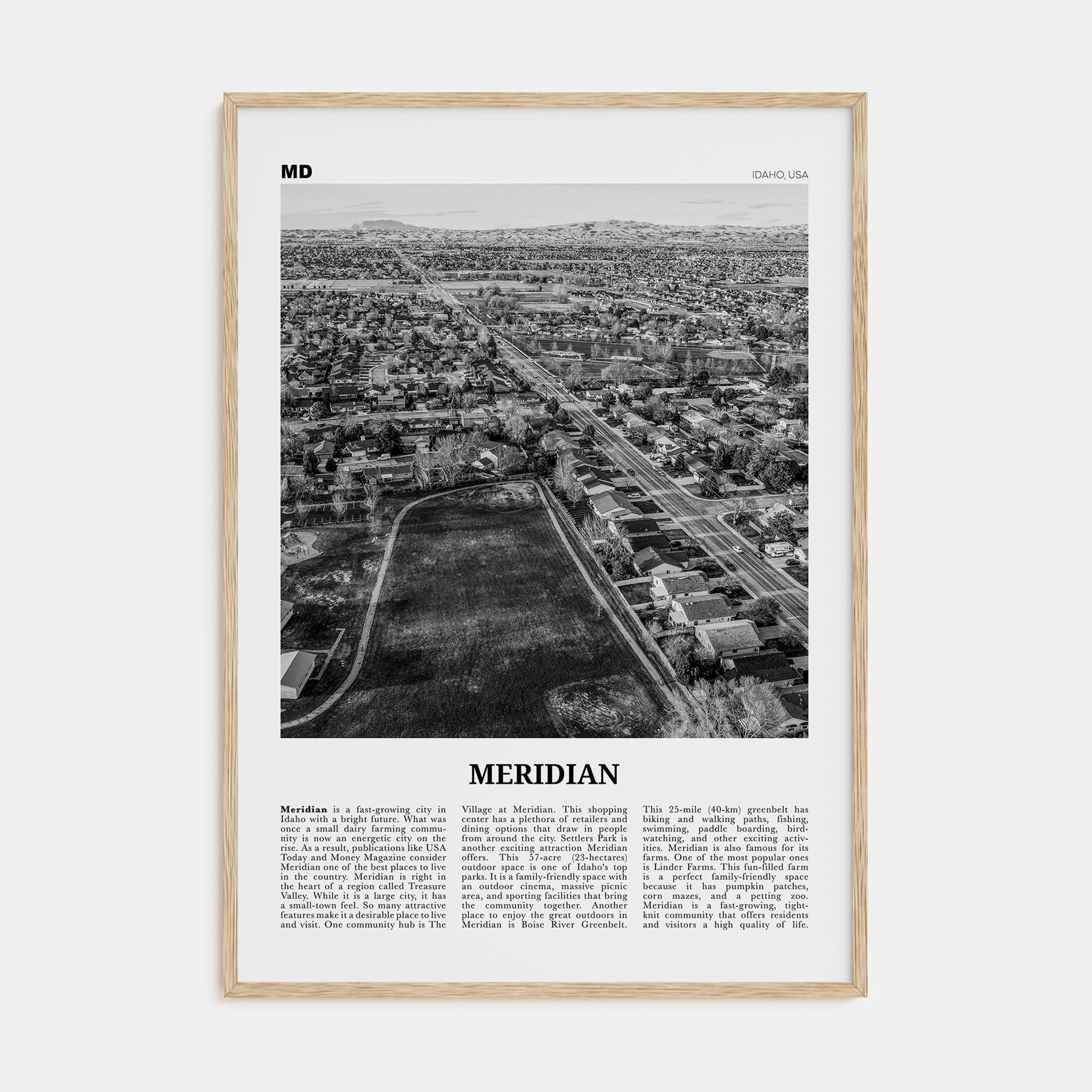 Meridian Travel B&W Poster