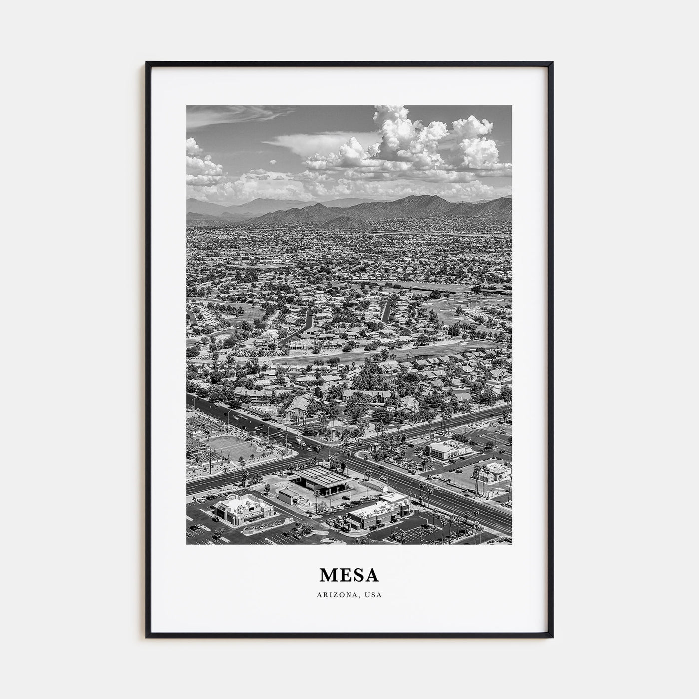 Mesa Portrait B&W Poster