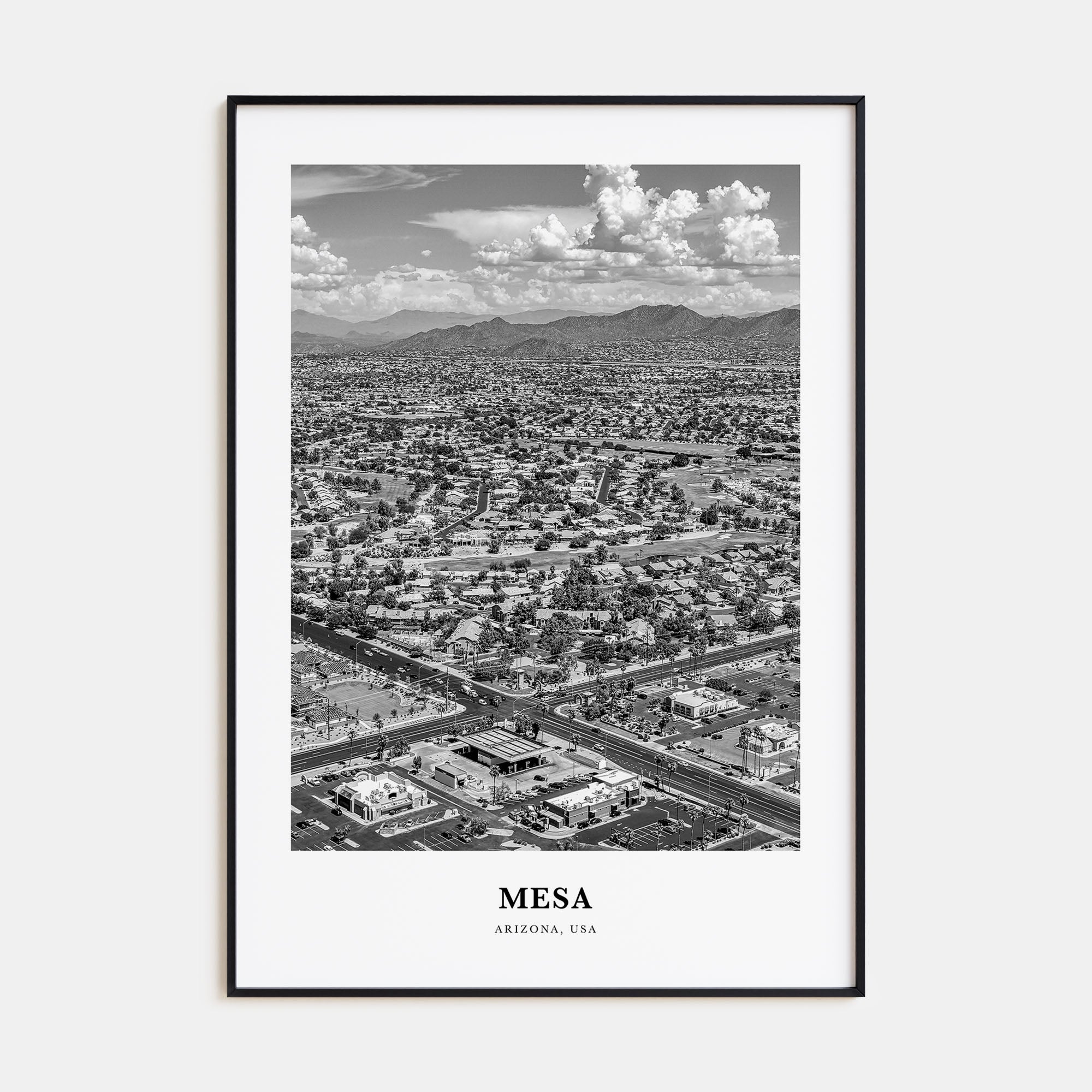 Mesa Portrait B&W Poster