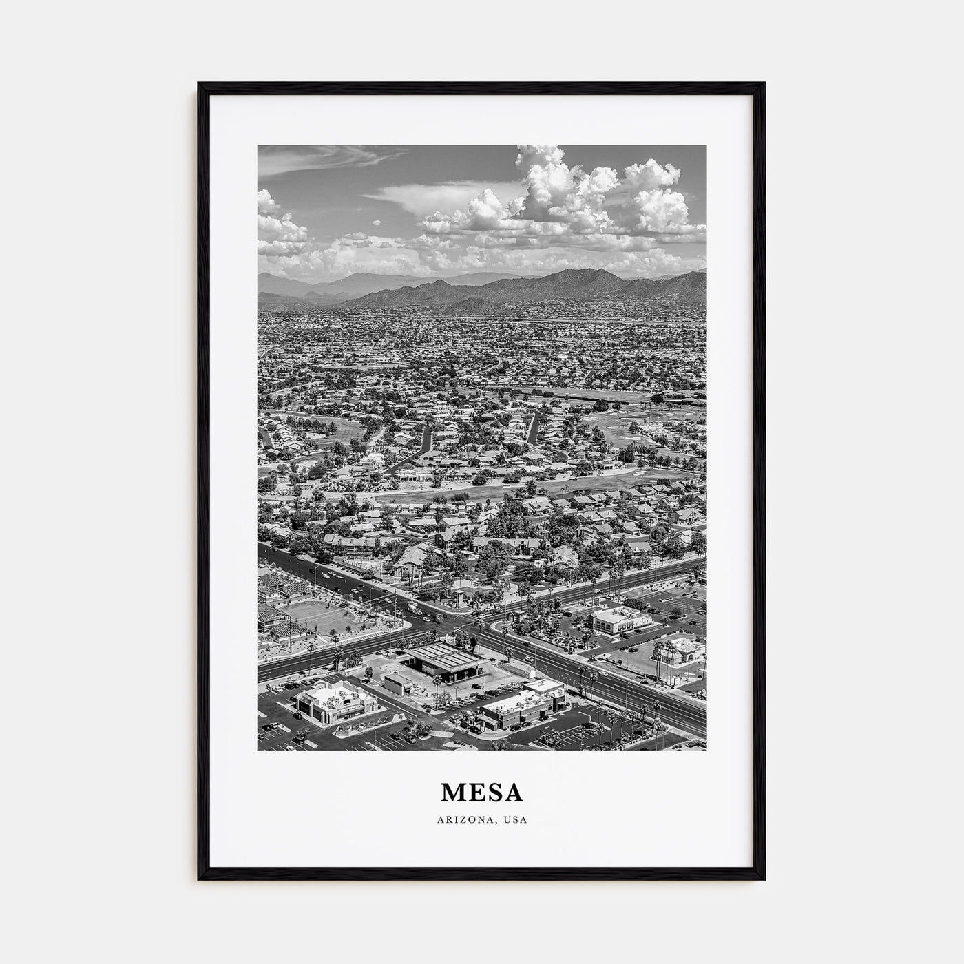 Mesa Portrait B&W Poster