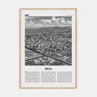 Mesa Travel B&W Poster