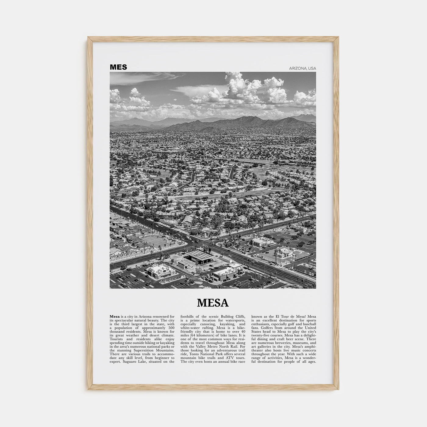 Mesa Travel B&W Poster