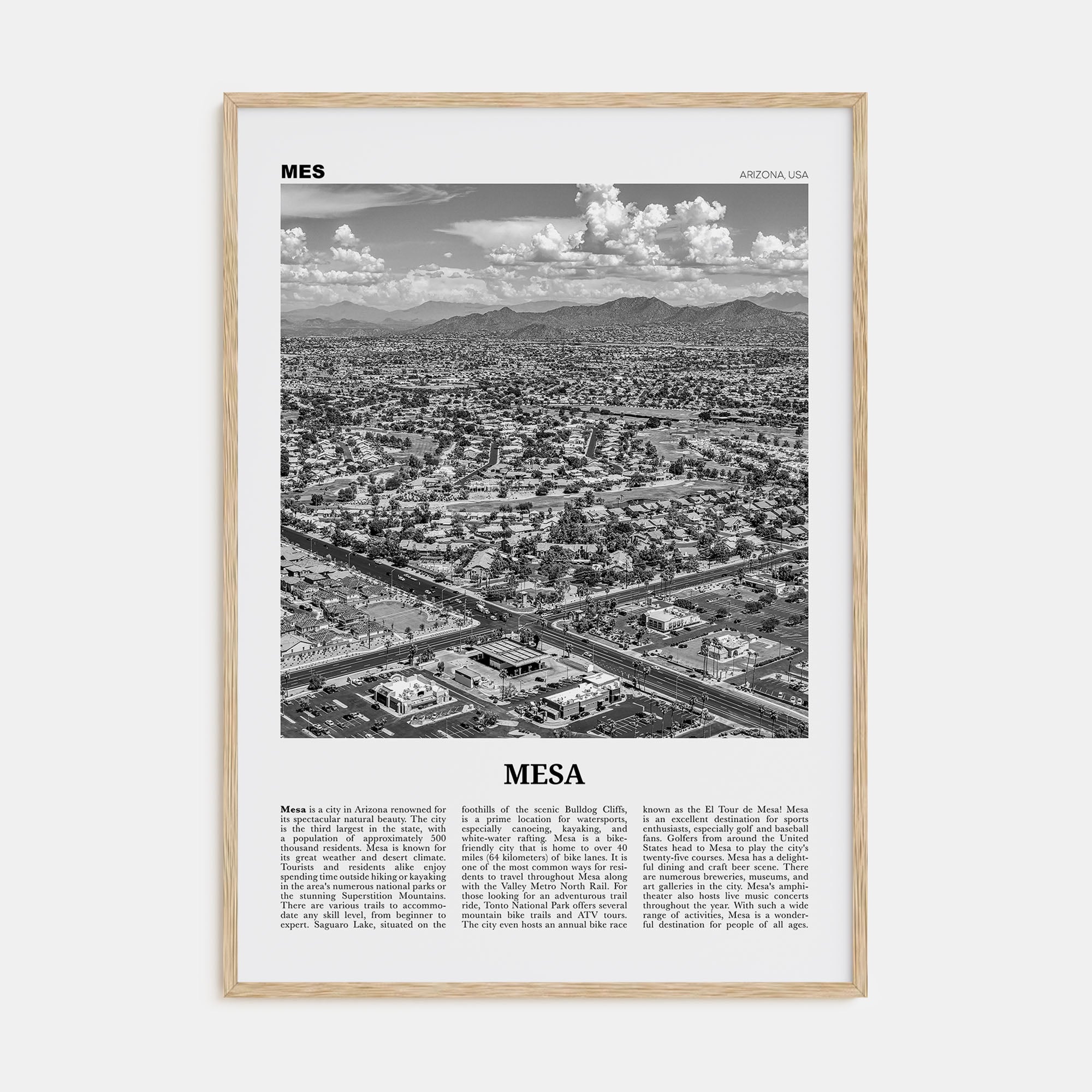 Mesa Travel B&W Poster