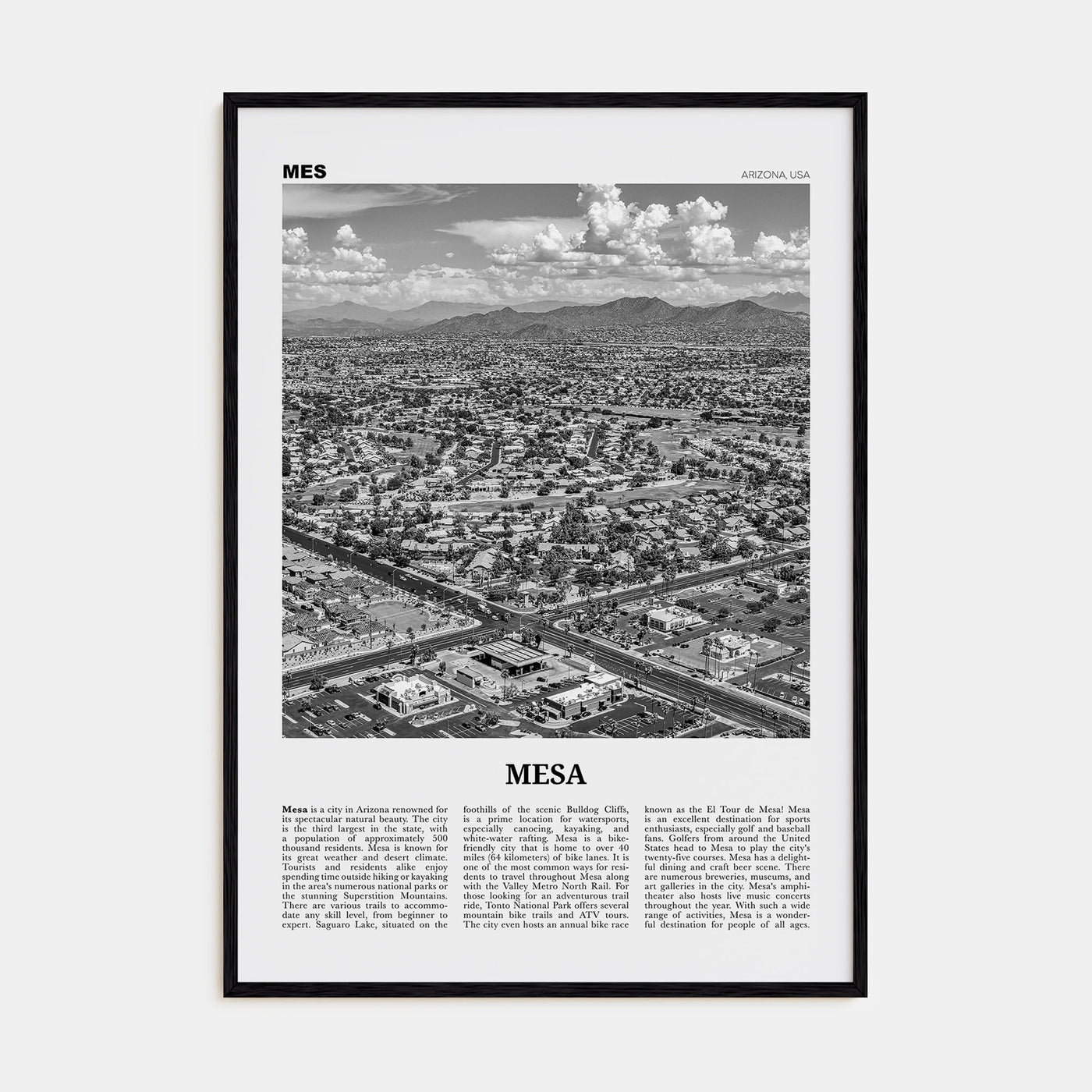 Mesa Travel B&W Poster