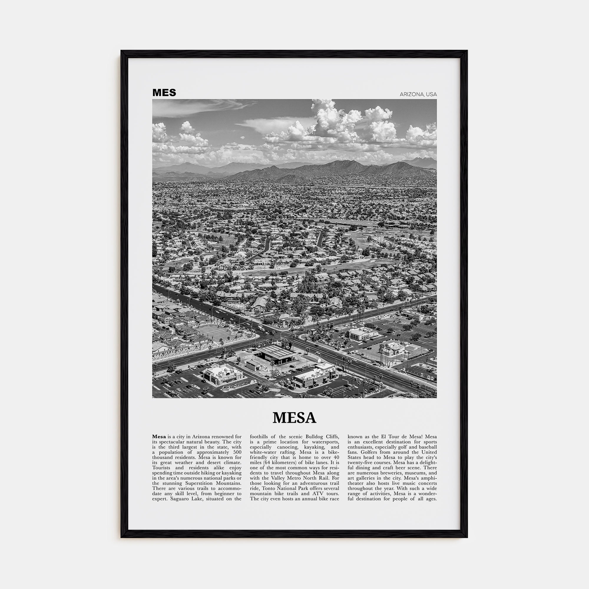 Mesa Travel B&W Poster