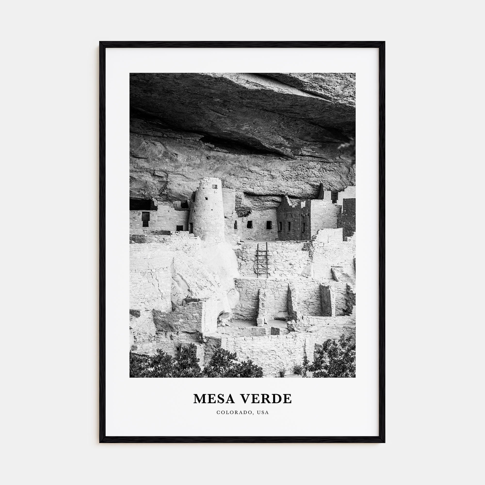 Mesa Verde National Park Portrait B&W Poster