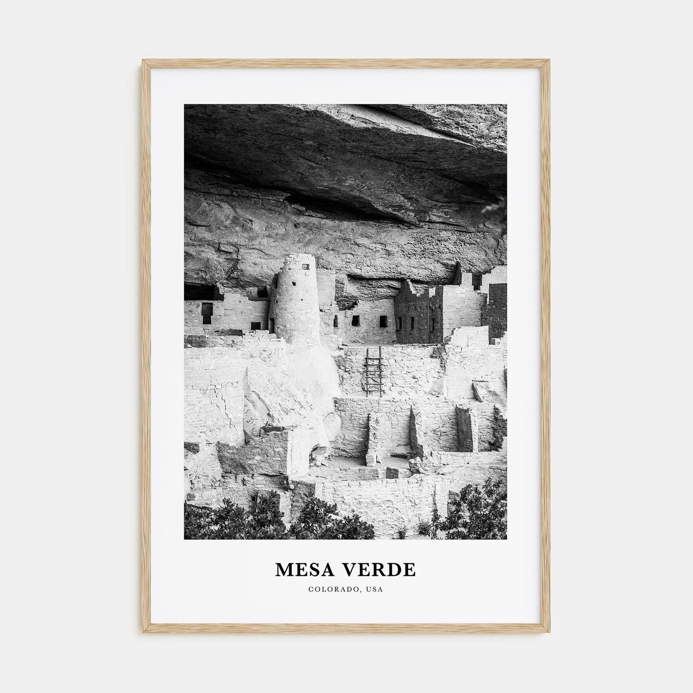 Mesa Verde National Park Portrait B&W Poster