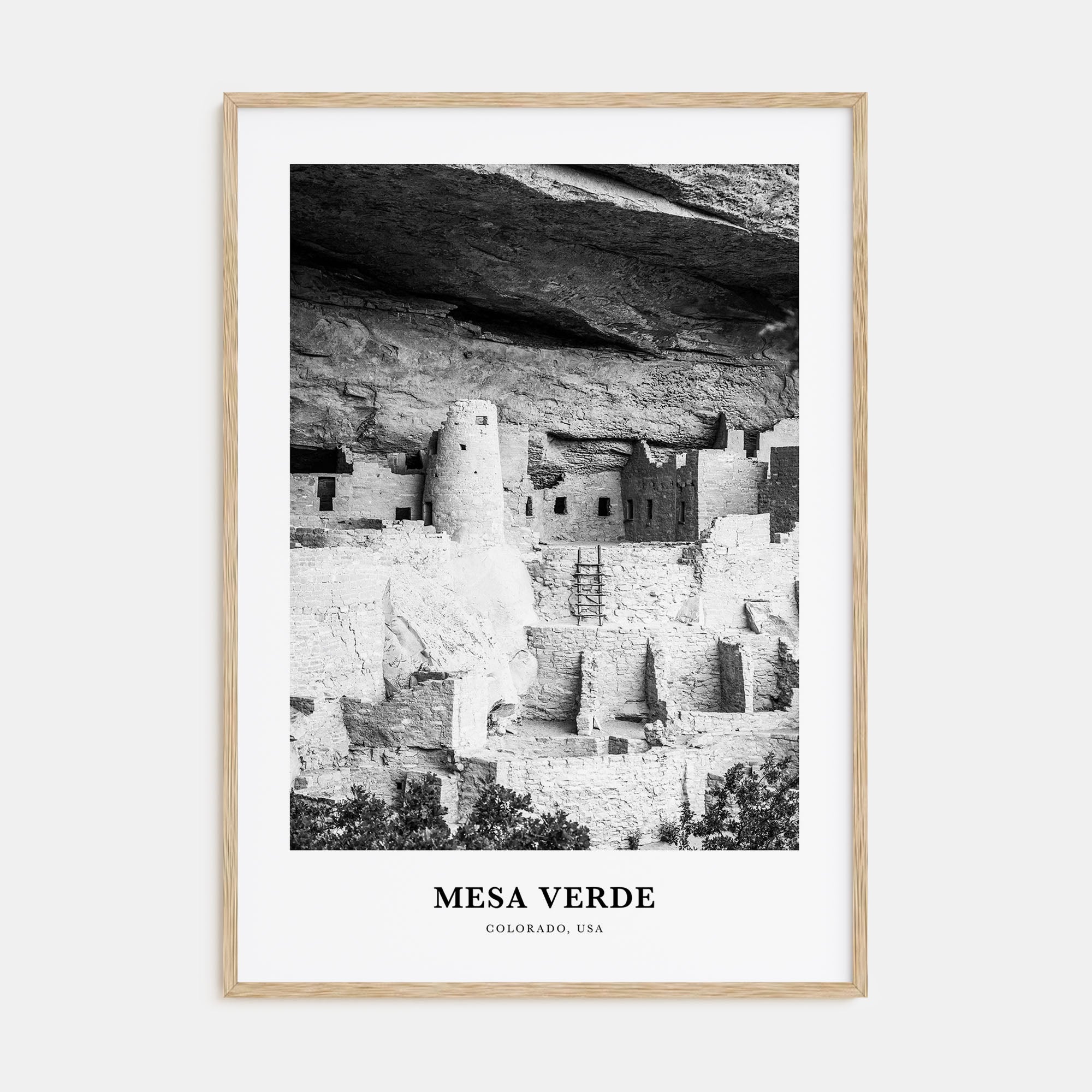 Mesa Verde National Park Portrait B&W Poster