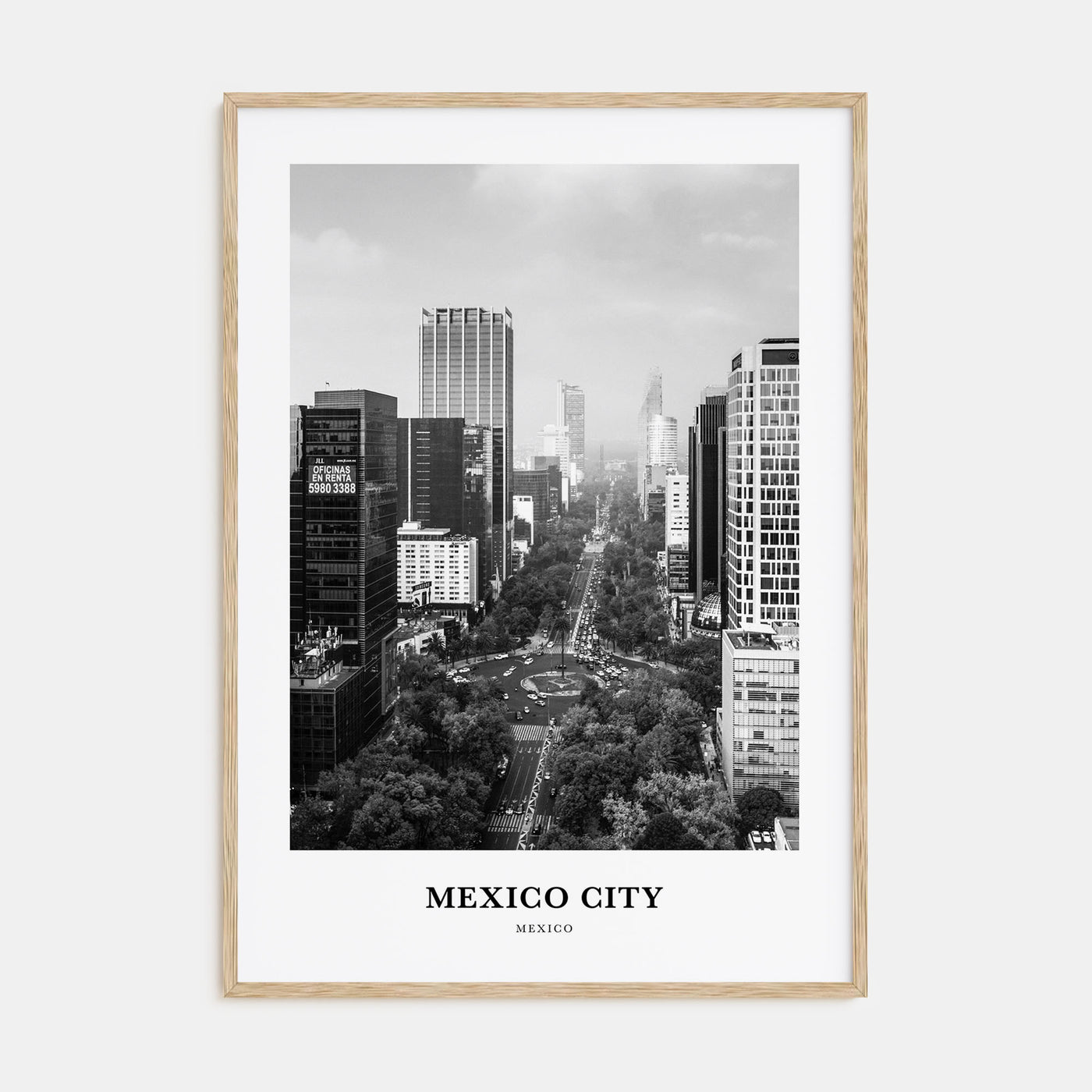Mexico City Portrait B&W No 1 Poster