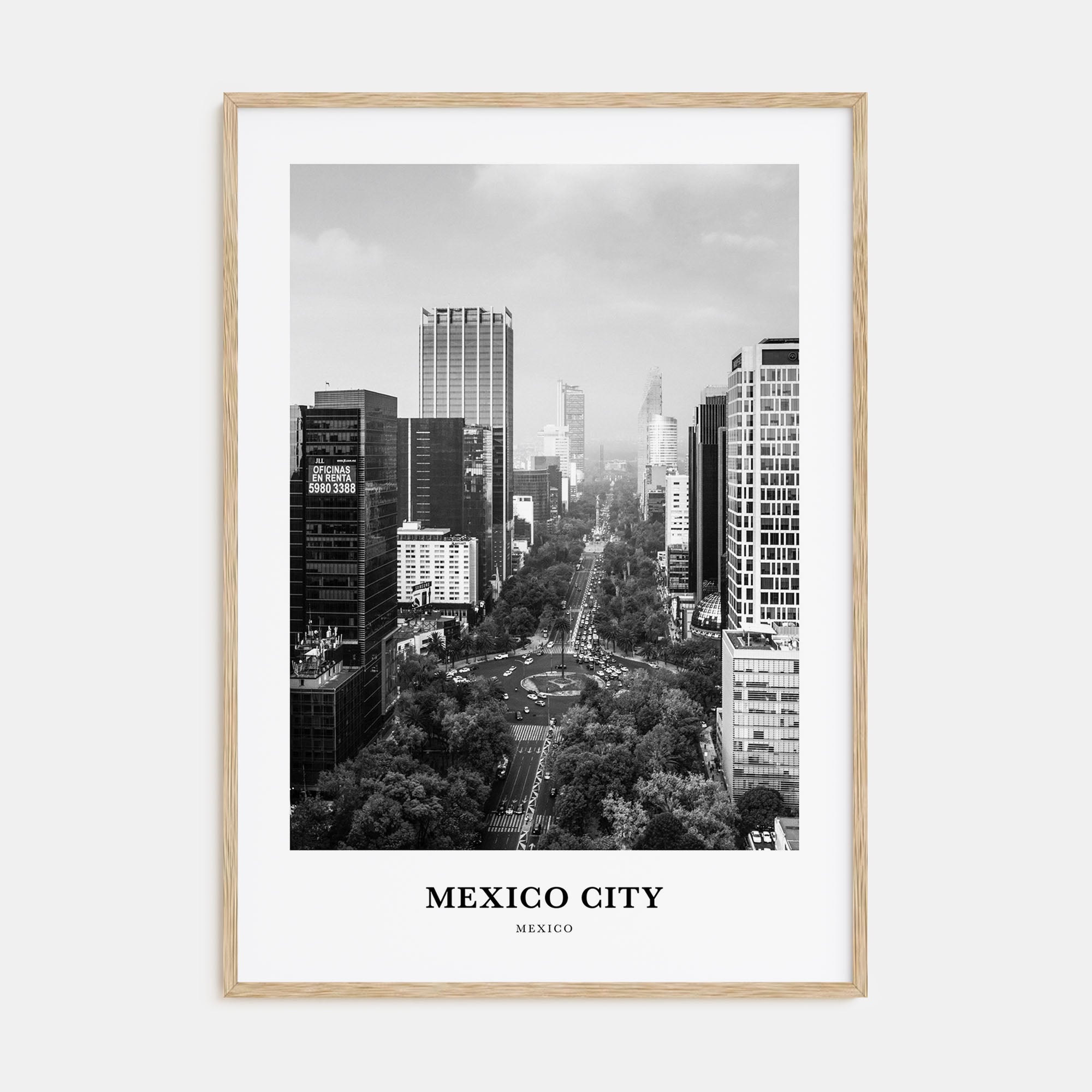 Mexico City Portrait B&W No 1 Poster