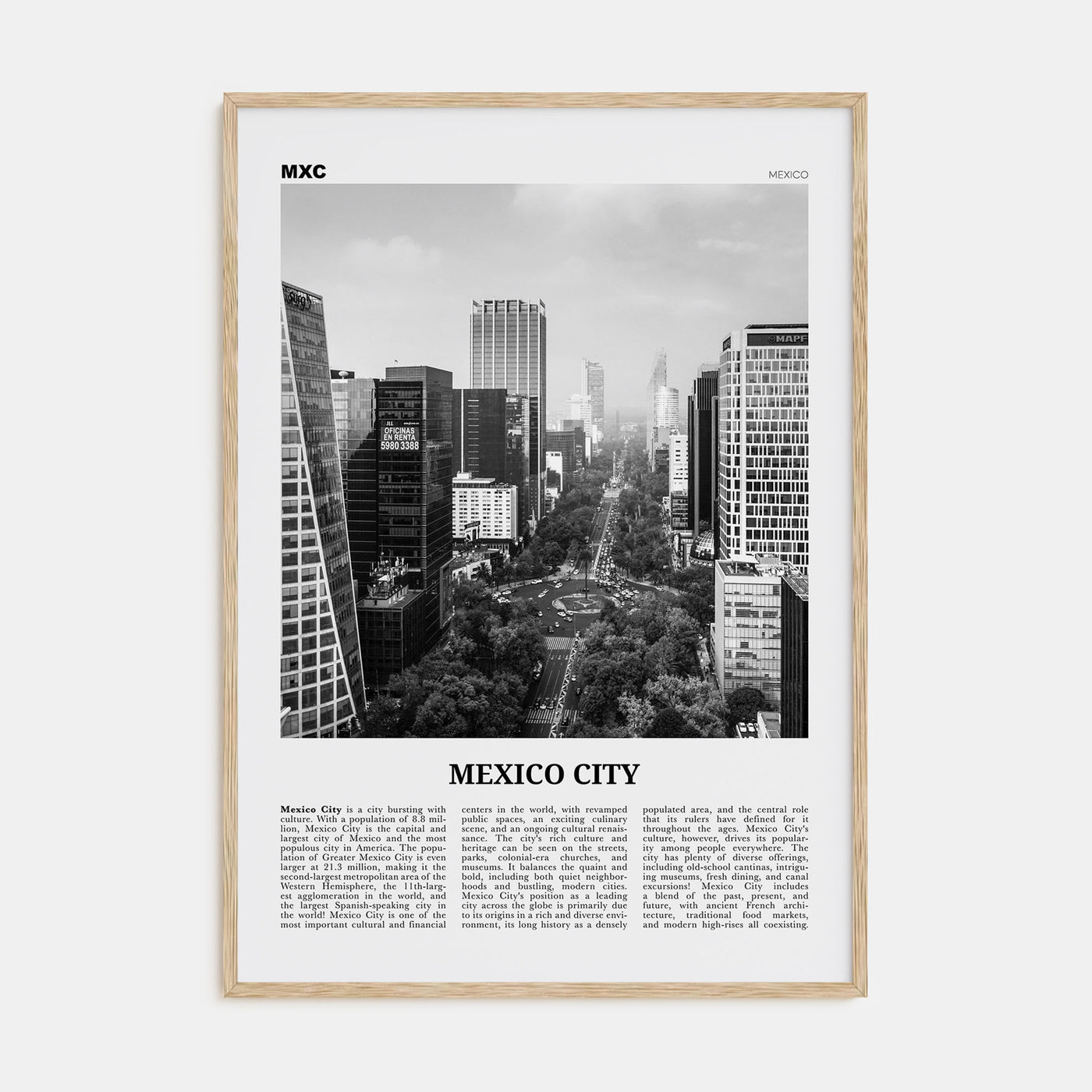 Mexico City Travel B&W No 1 Poster
