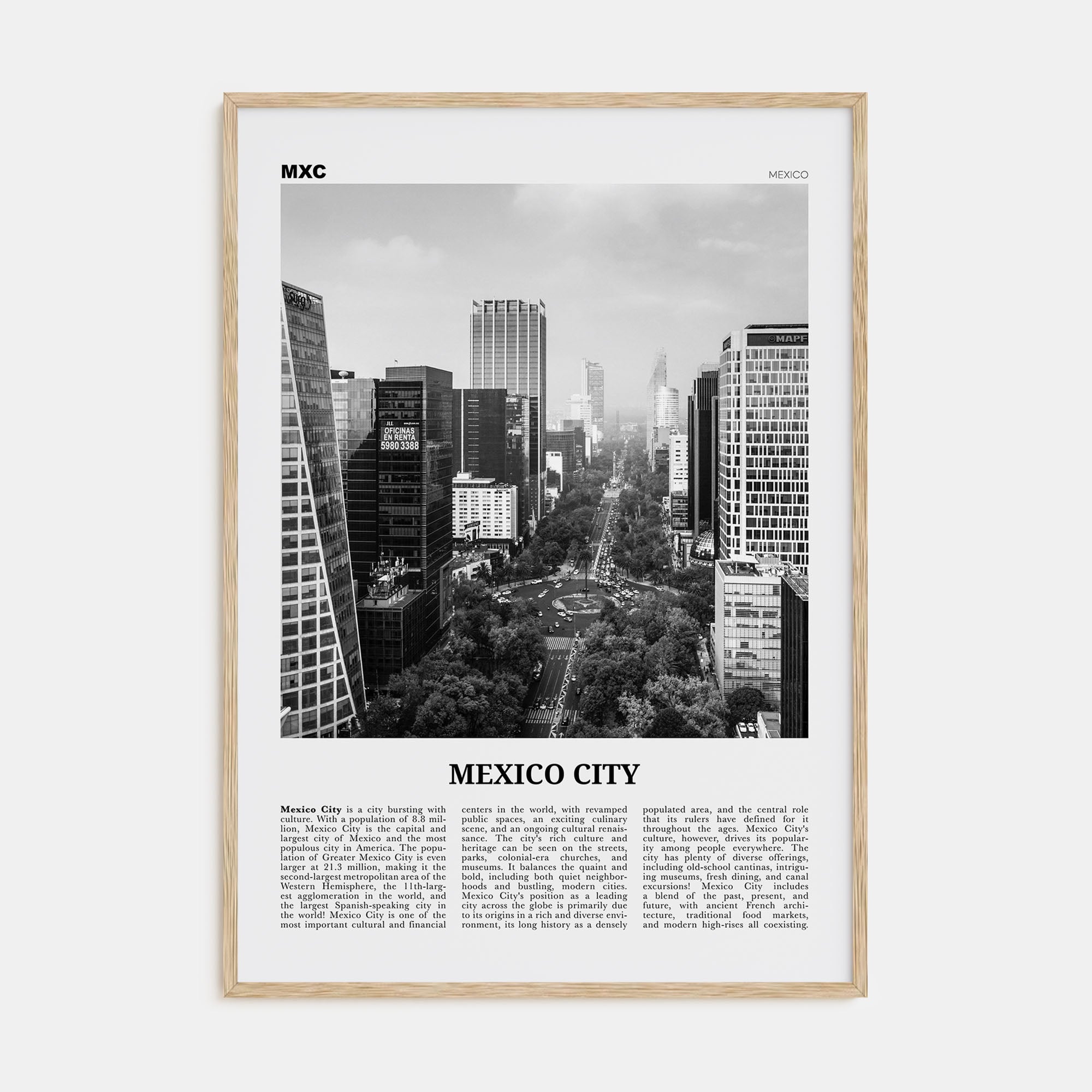 Mexico City Travel B&W No 1 Poster