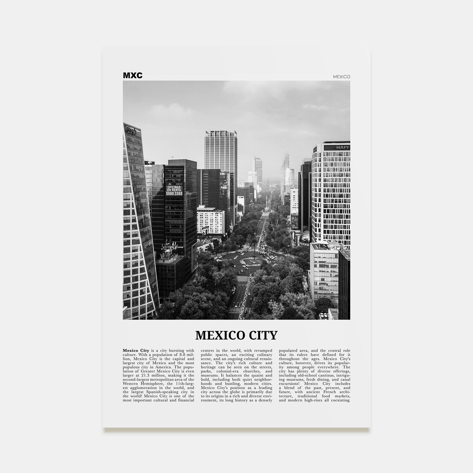 Mexico City Travel B&W No 1 Poster