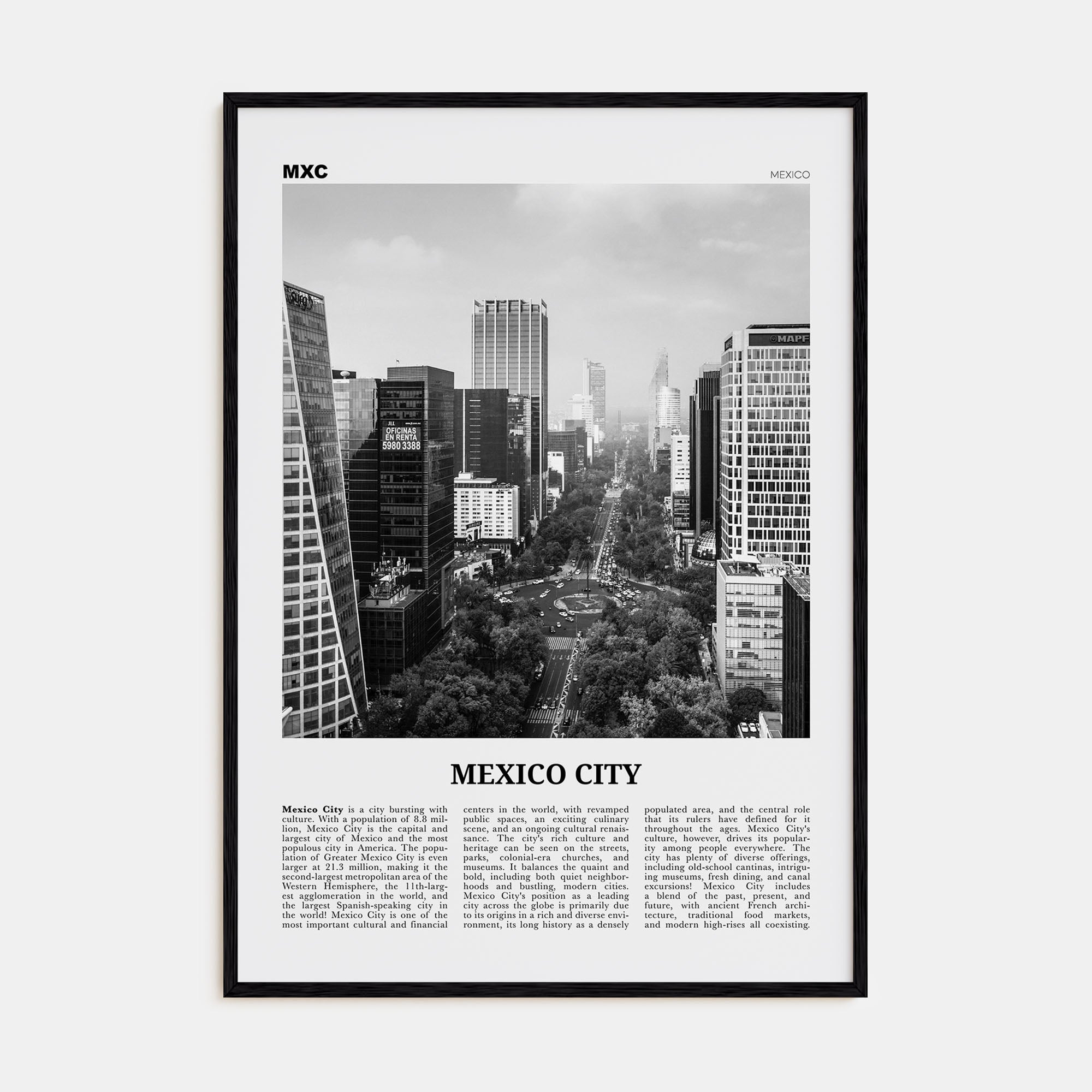 Mexico City Travel B&W No 1 Poster
