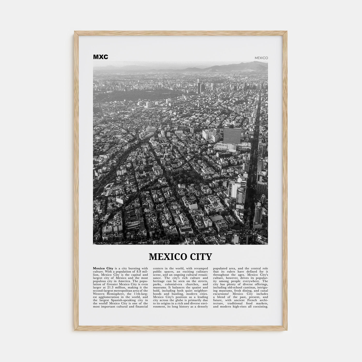 Mexico City Travel B&W No 3 Poster