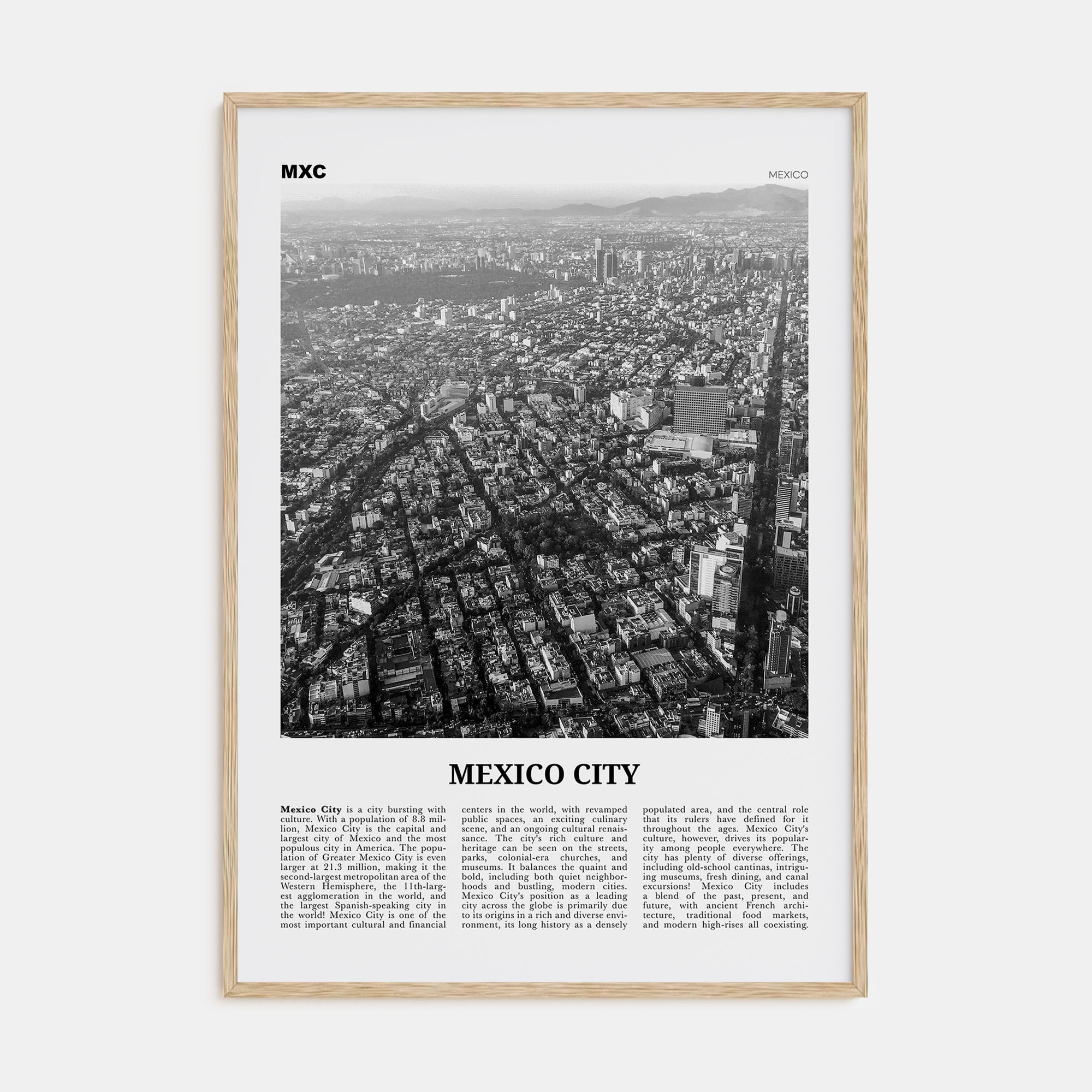 Mexico City Travel B&W No 3 Poster
