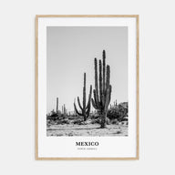 Mexico Portrait B&W No 1 Poster