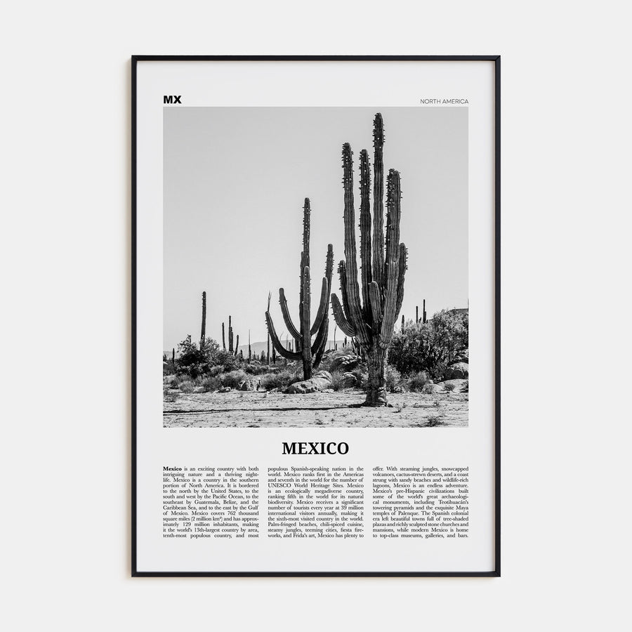 Mexico Travel B&W No 1 Poster
